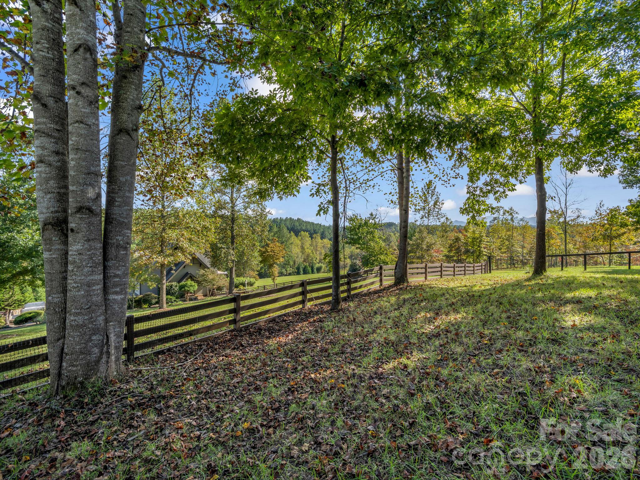 Mountain views, pasture and substantial fencing surrounds - 140 Blazing Star Lane, Mill Spring