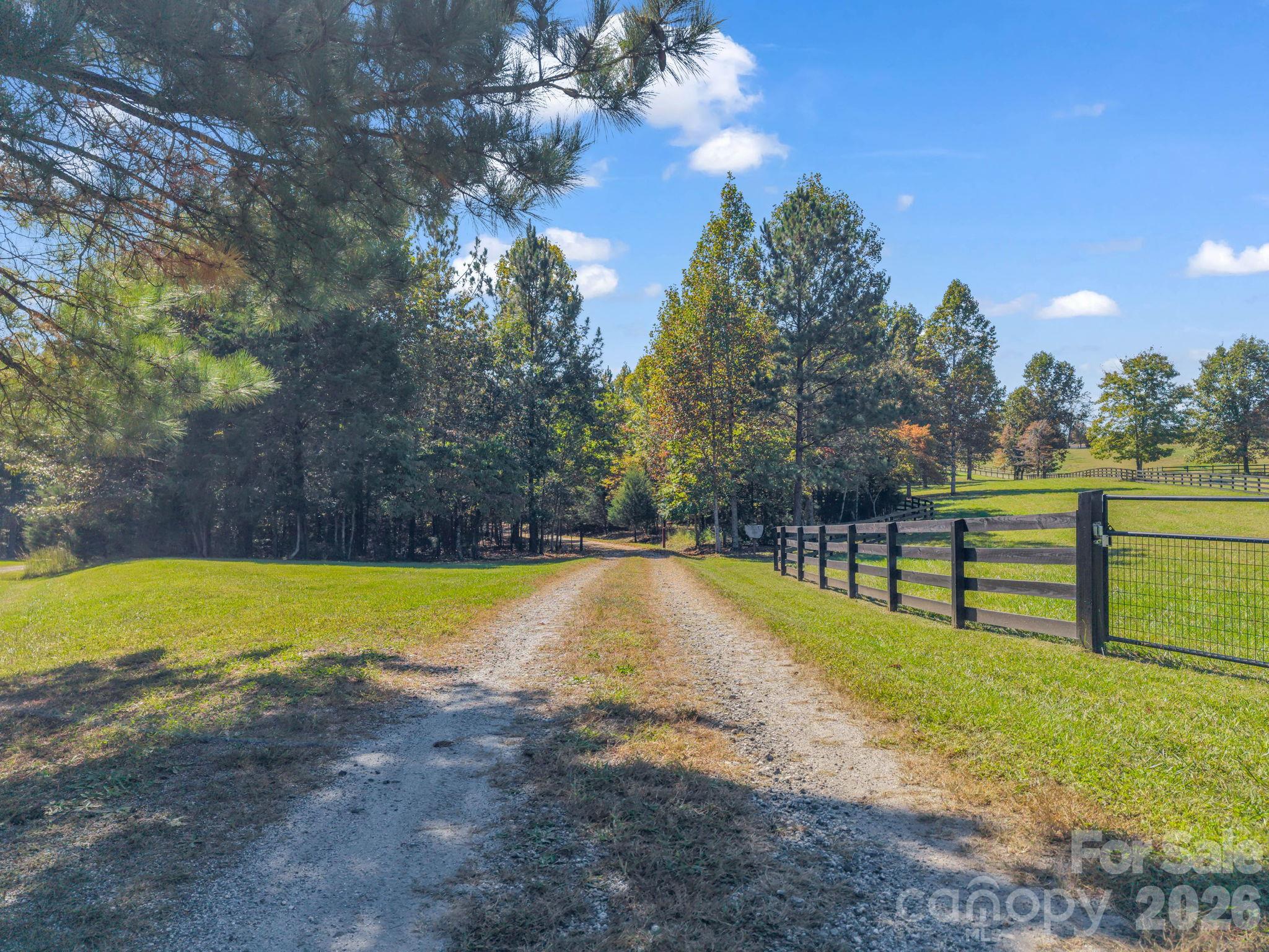 Beautiful private drive into the property, 8+ cleared pasture acres to the right and a large portion fenced-in - 140 Blazing Star Lane, Mill Spring