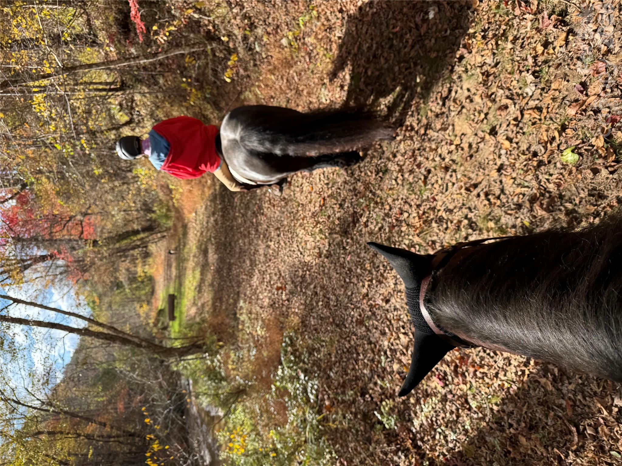 51 miles of preserve trails in Walnut Creek community - 140 Blazing Star Lane, Mill Spring