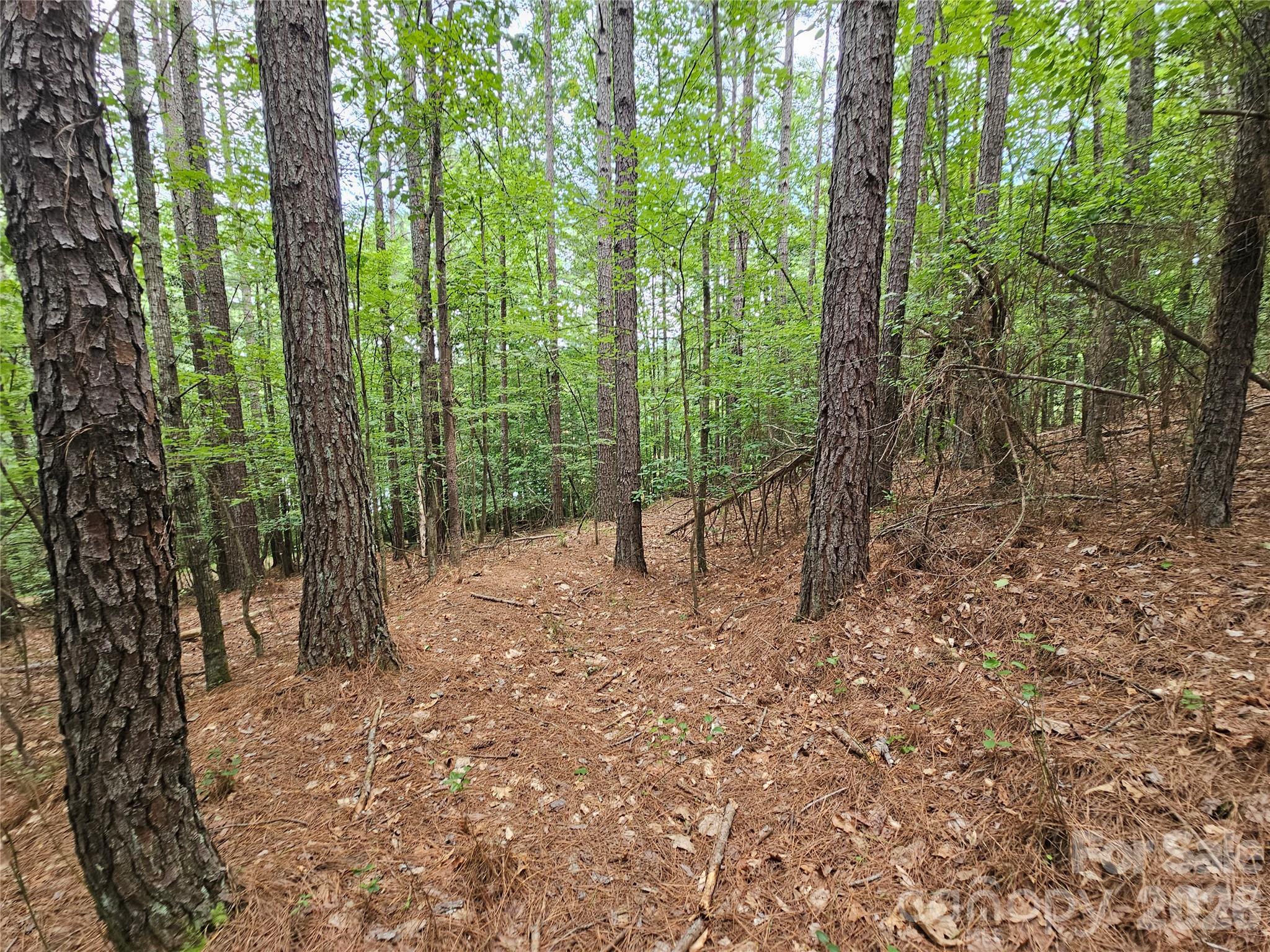 Lot at 0 Broadwater Drive, Granite Falls, photo 7 of 12