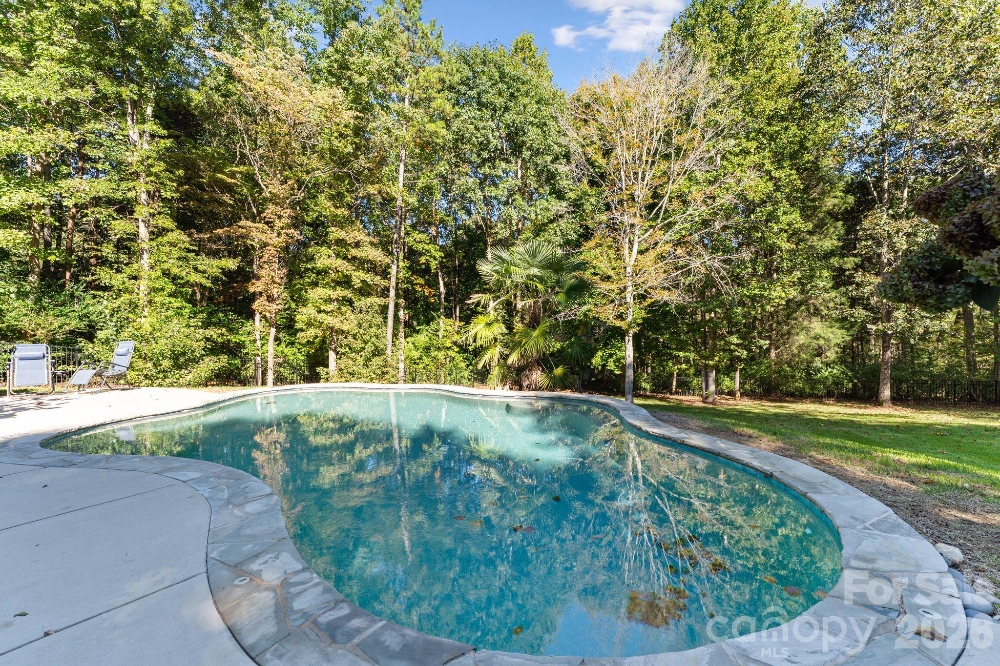 Salt Water Pool - 287 Walking Horse Trail, Davidson