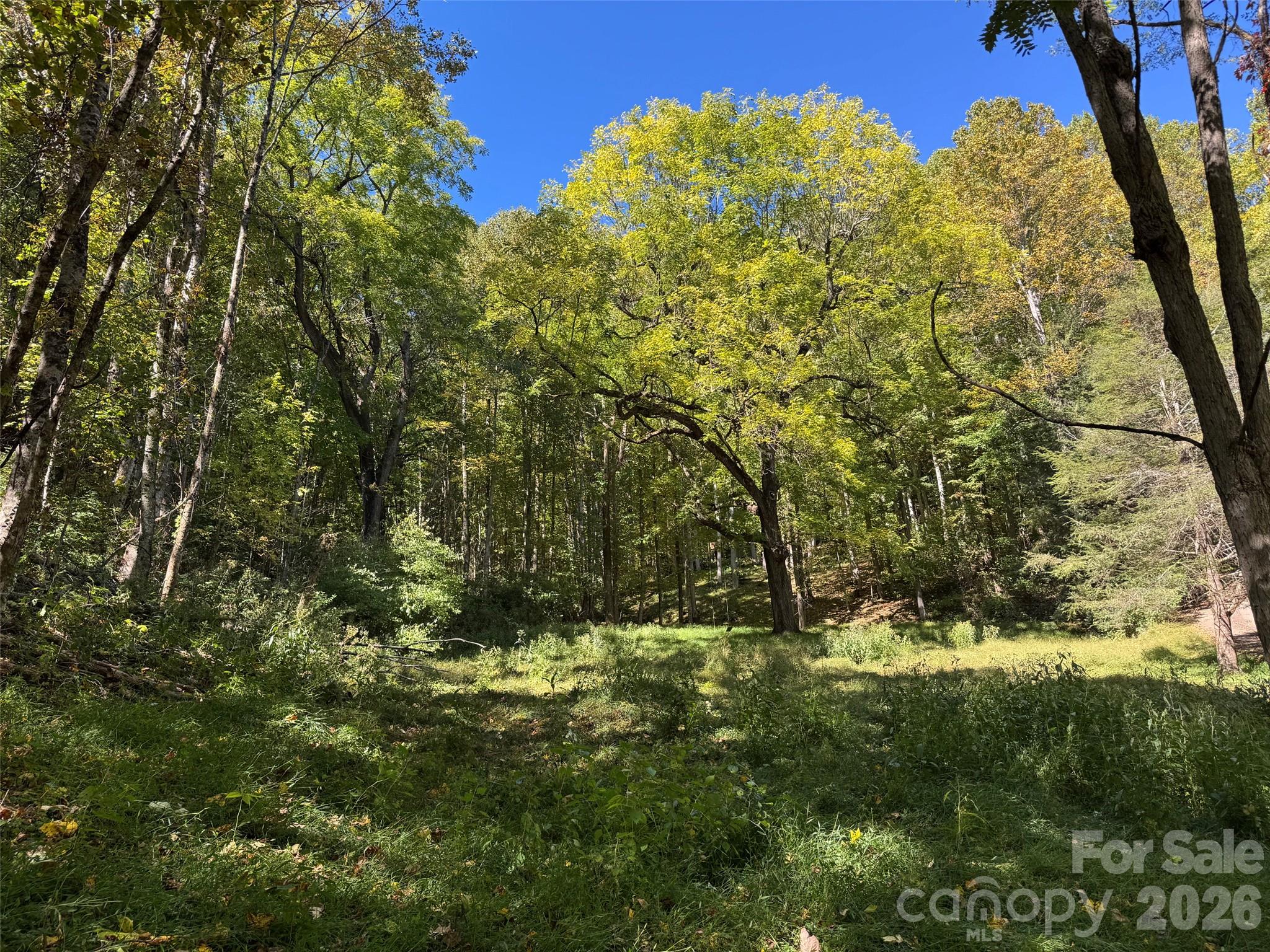 Lot at LT 18 Silverbell Lane, Waynesville