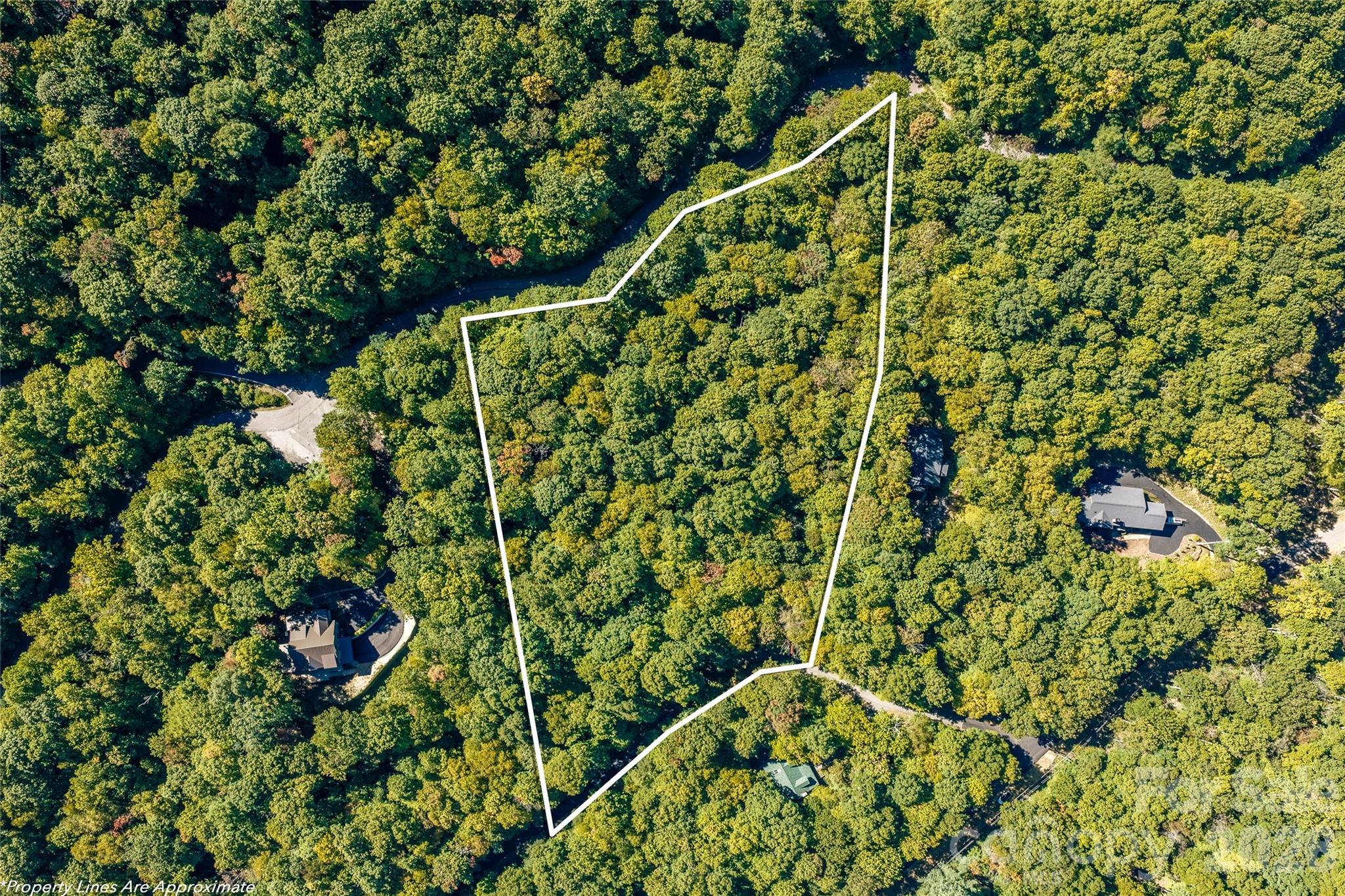 large lot bordered by two paved roads - 29 Wood Haven Lane, Black Mountain