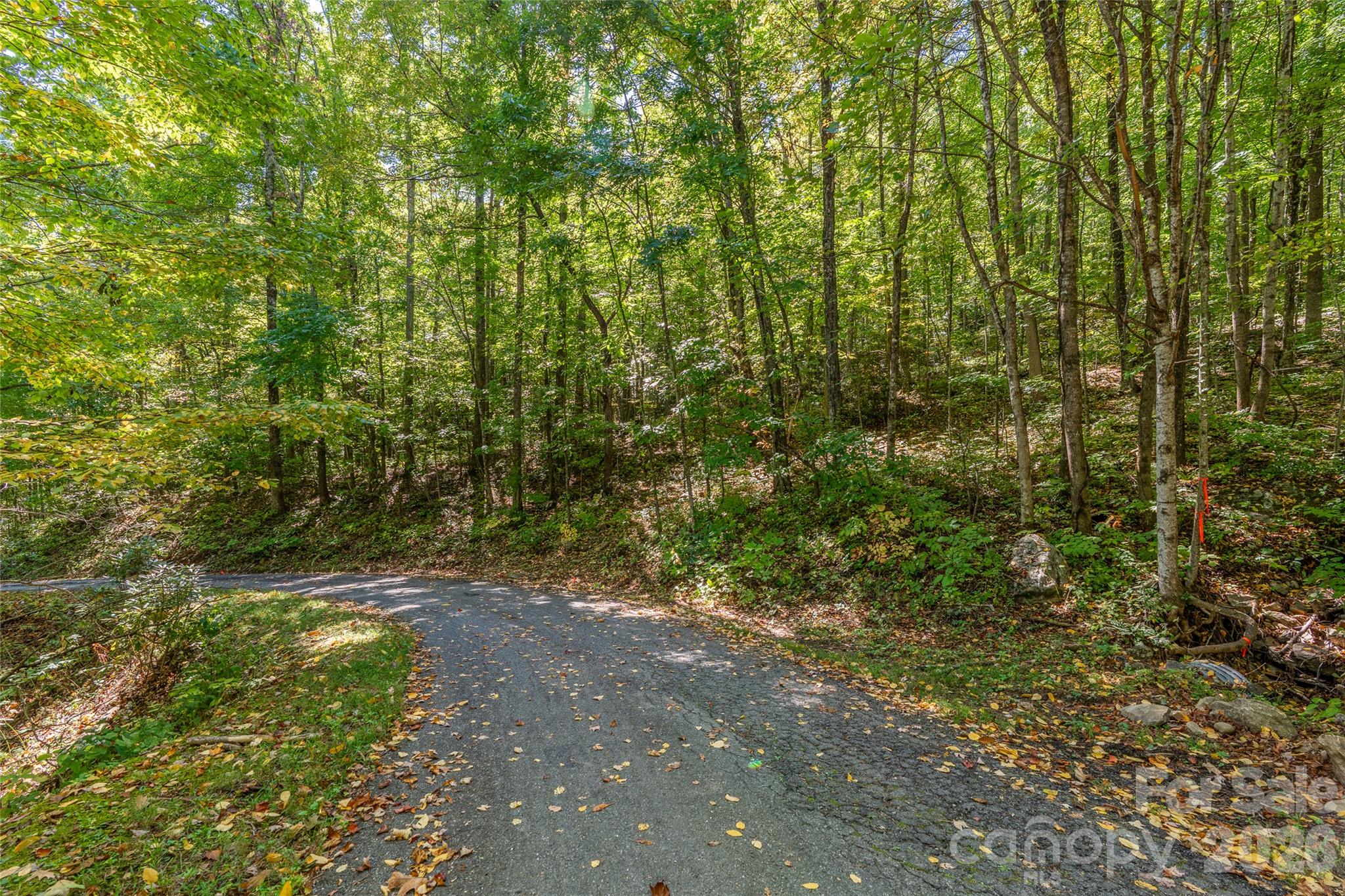 easy access of Wood Haven Ln - 29 Wood Haven Lane, Black Mountain
