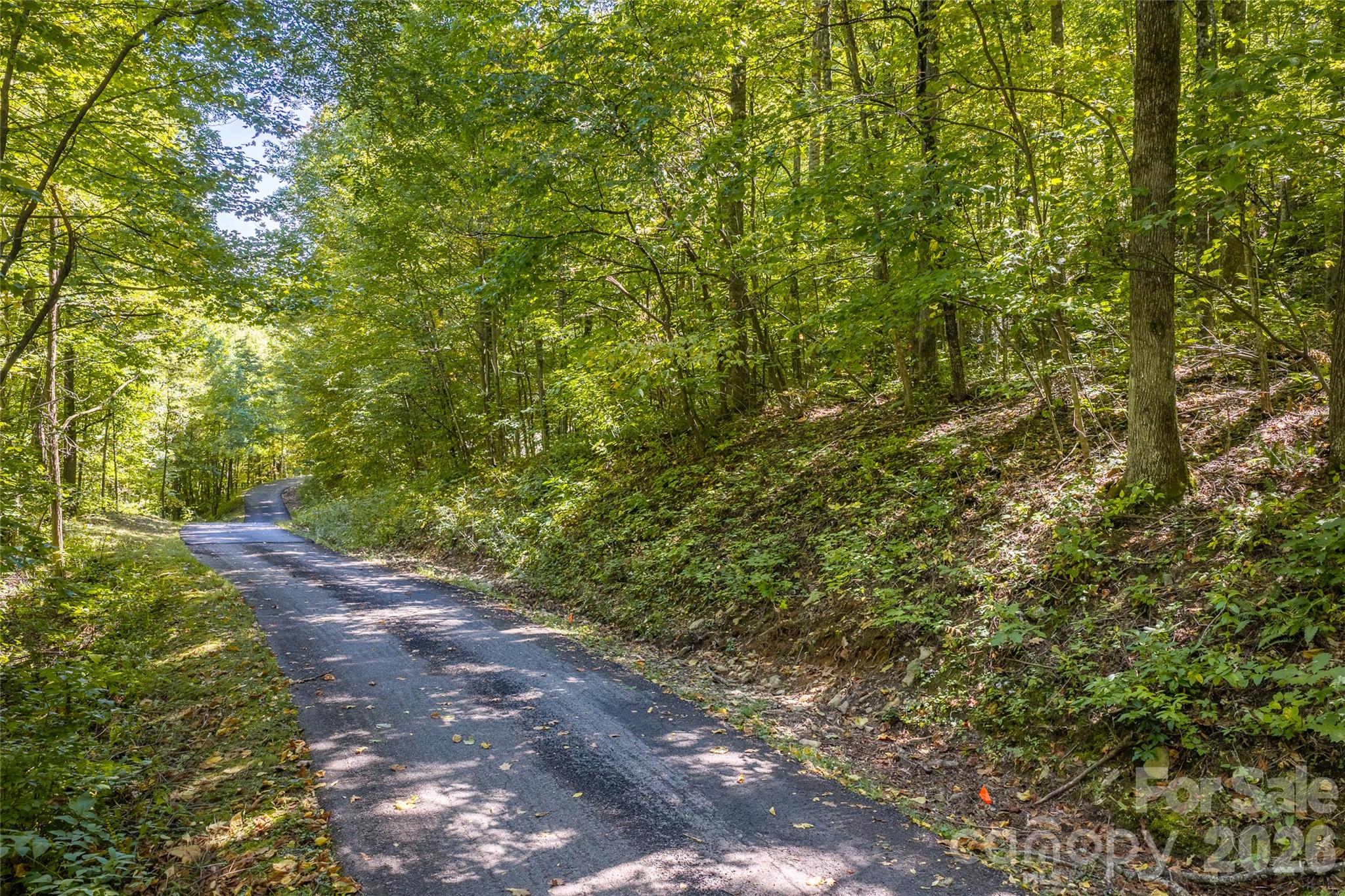 10 min from downtown Black Mountain - 29 Wood Haven Lane, Black Mountain