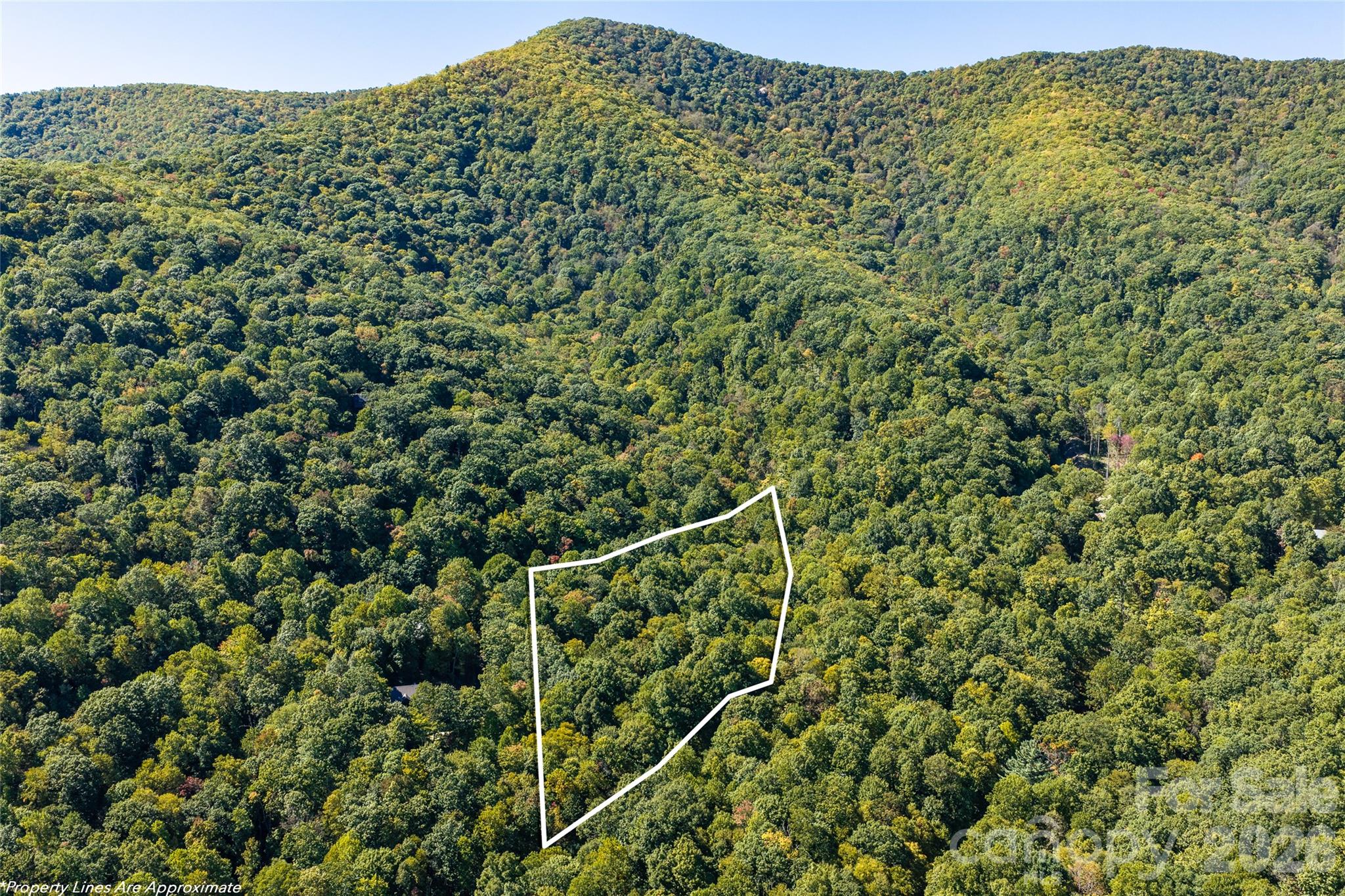 Lot at 29 Wood Haven Lane, Black Mountain, photo 8 of 18