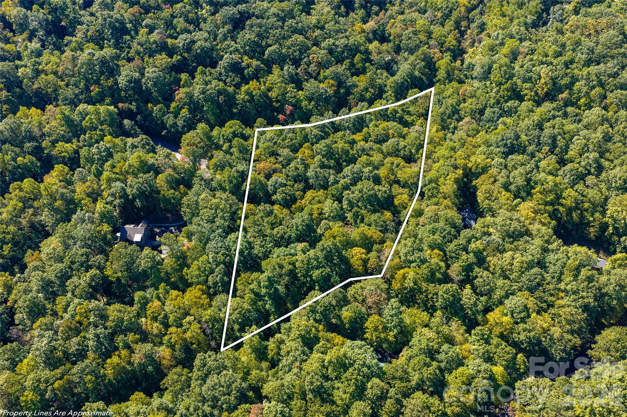 Lot at 29 Wood Haven Lane, Black Mountain, photo 9 of 18