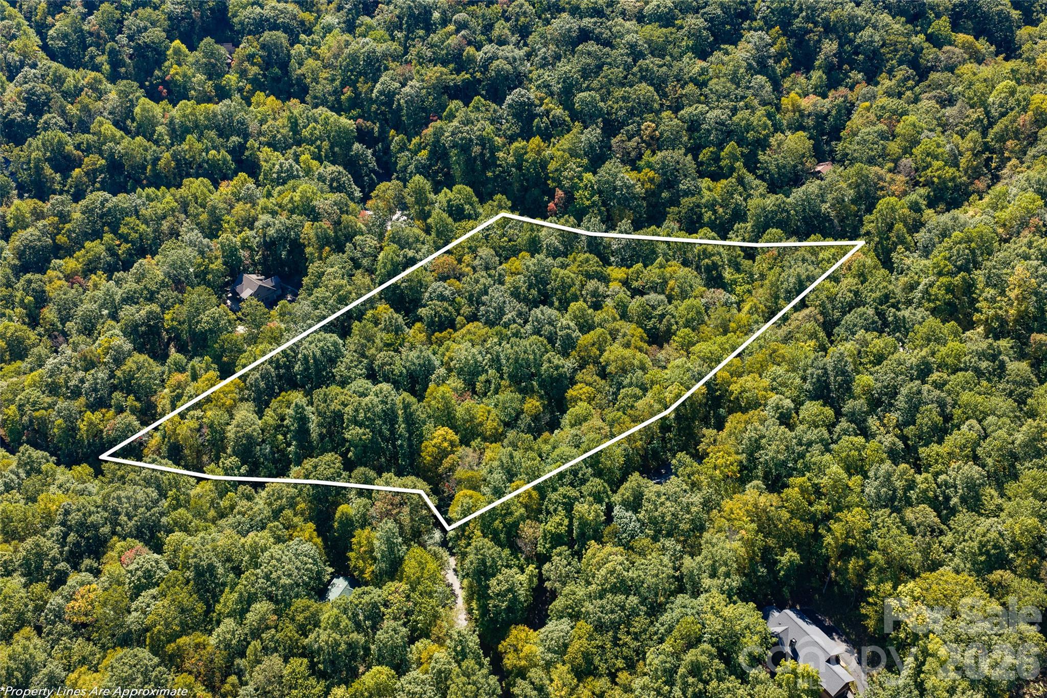 Lot at 29 Wood Haven Lane, Black Mountain, photo 11 of 18