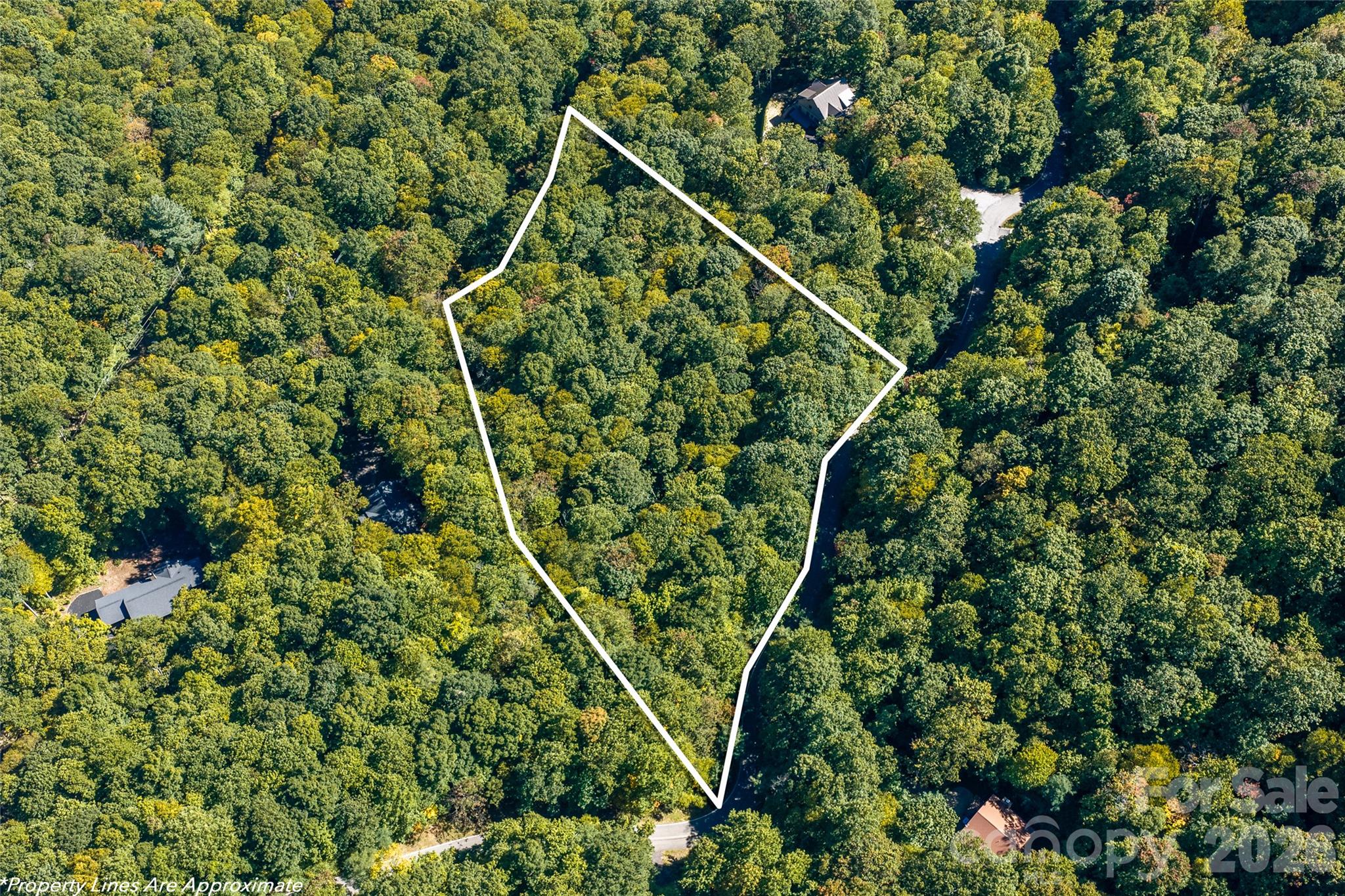 Lot at 29 Wood Haven Lane, Black Mountain, photo 12 of 18