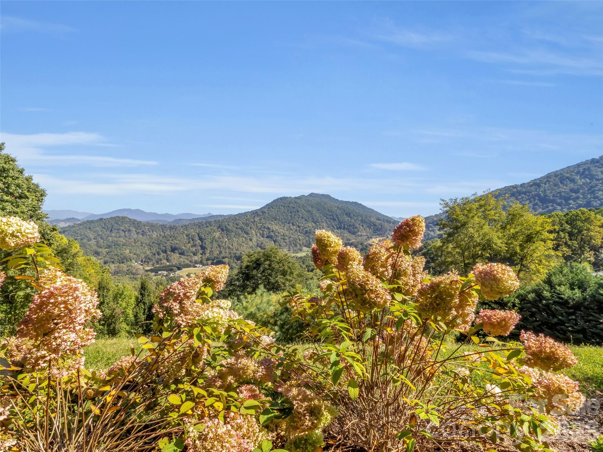 Single Family Residence at 830 Trials Gap Drive, Waynesville, photo 47 of 49