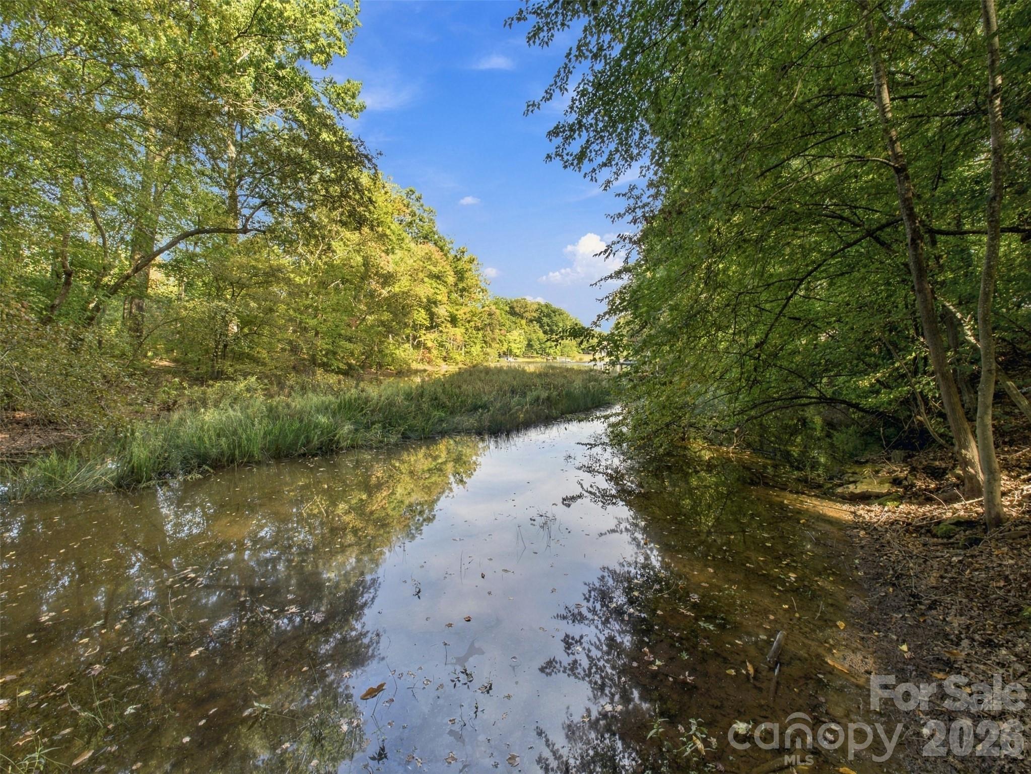 Acreage at 4220 Candlewood Drive, Sherrills Ford, photo 5 of 13