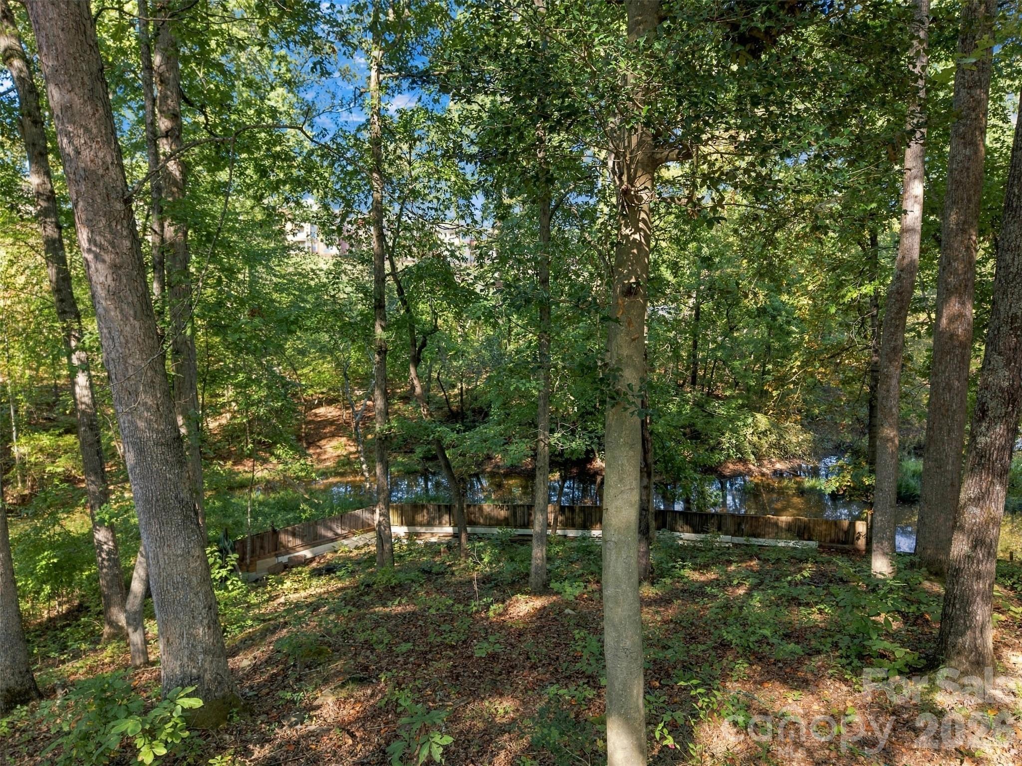 Acreage at 4220 Candlewood Drive, Sherrills Ford, photo 11 of 13