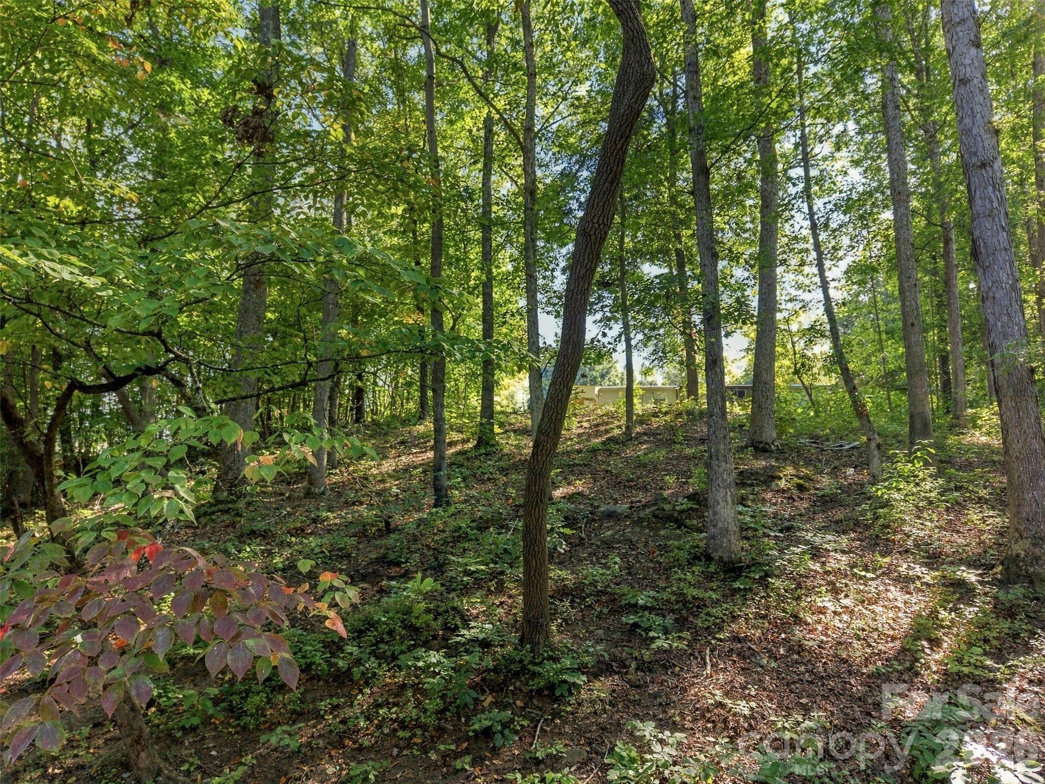 Acreage at 4220 Candlewood Drive, Sherrills Ford, photo 12 of 13