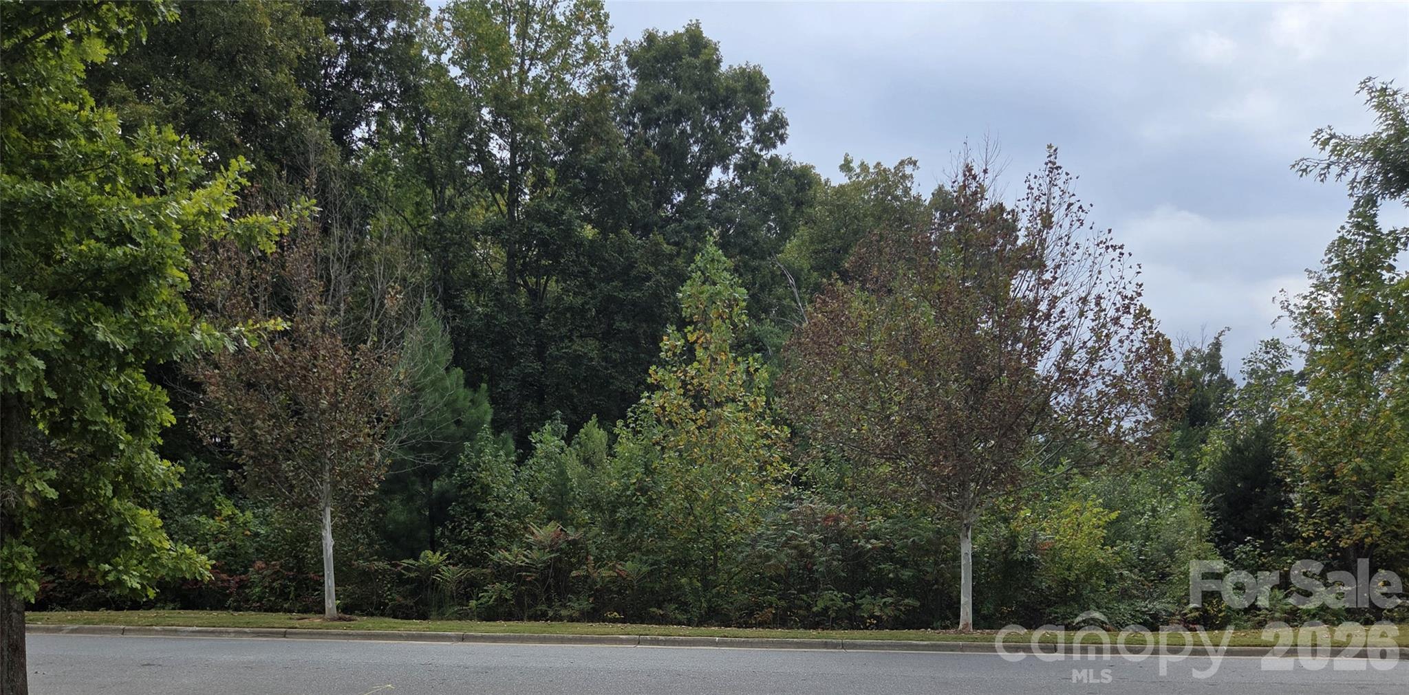 Single Family Residence at 9158 Cantrell Way, Huntersville, photo 40 of 40
