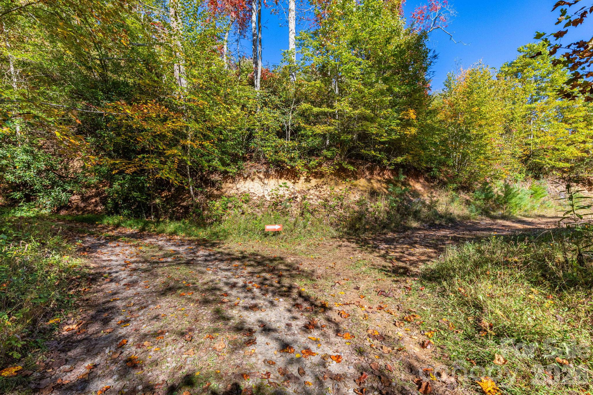 Trails on the property - 000 Destiny Road, Waynesville