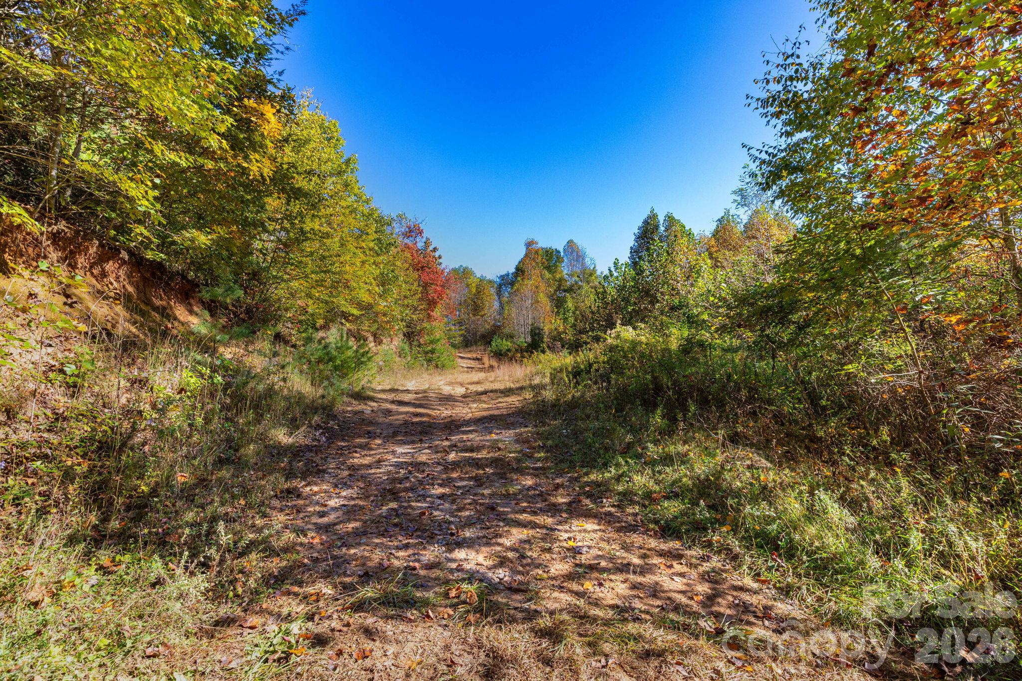 Trails on the property - 000 Destiny Road, Waynesville