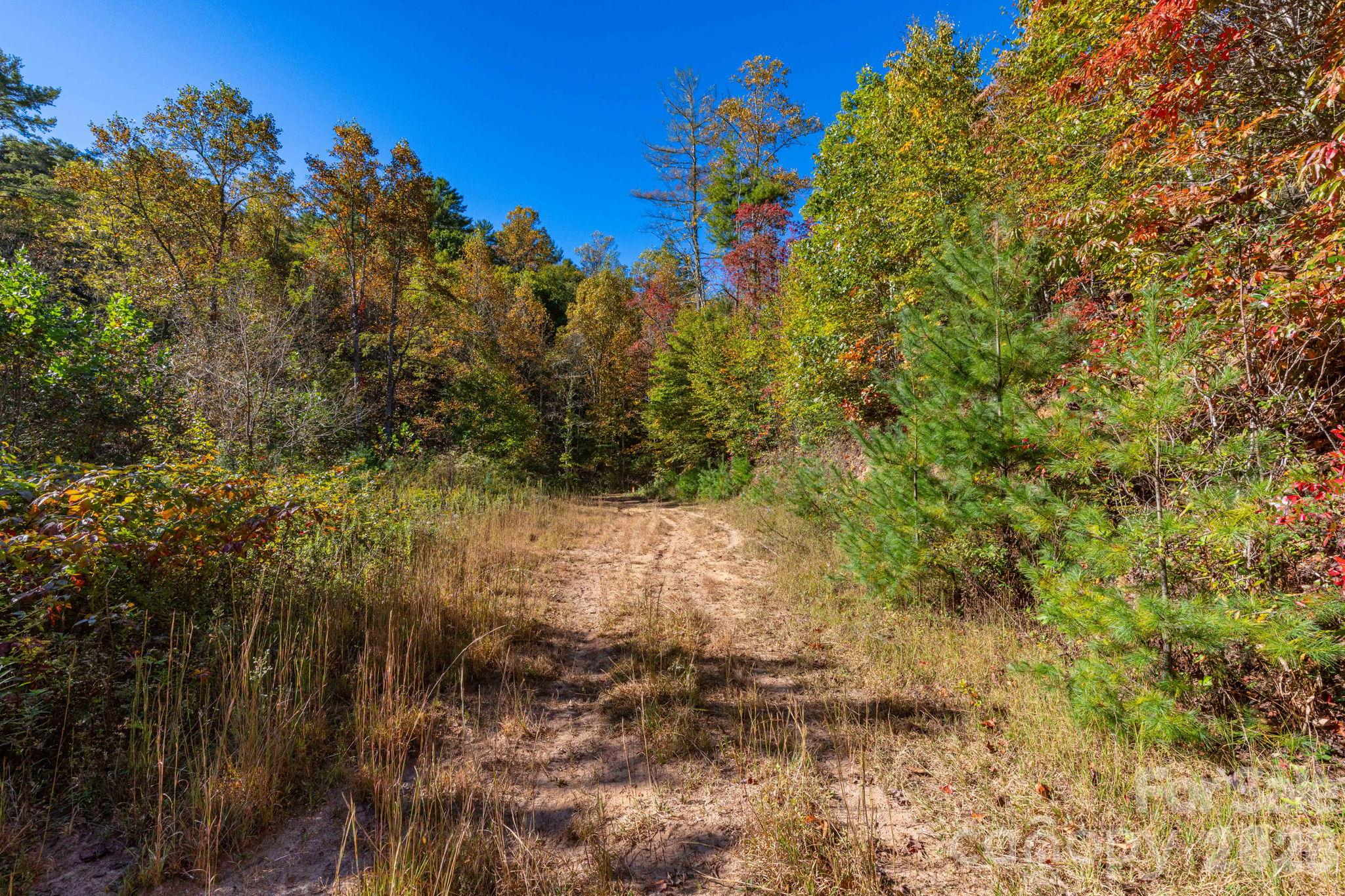 Trails on the property - 000 Destiny Road, Waynesville