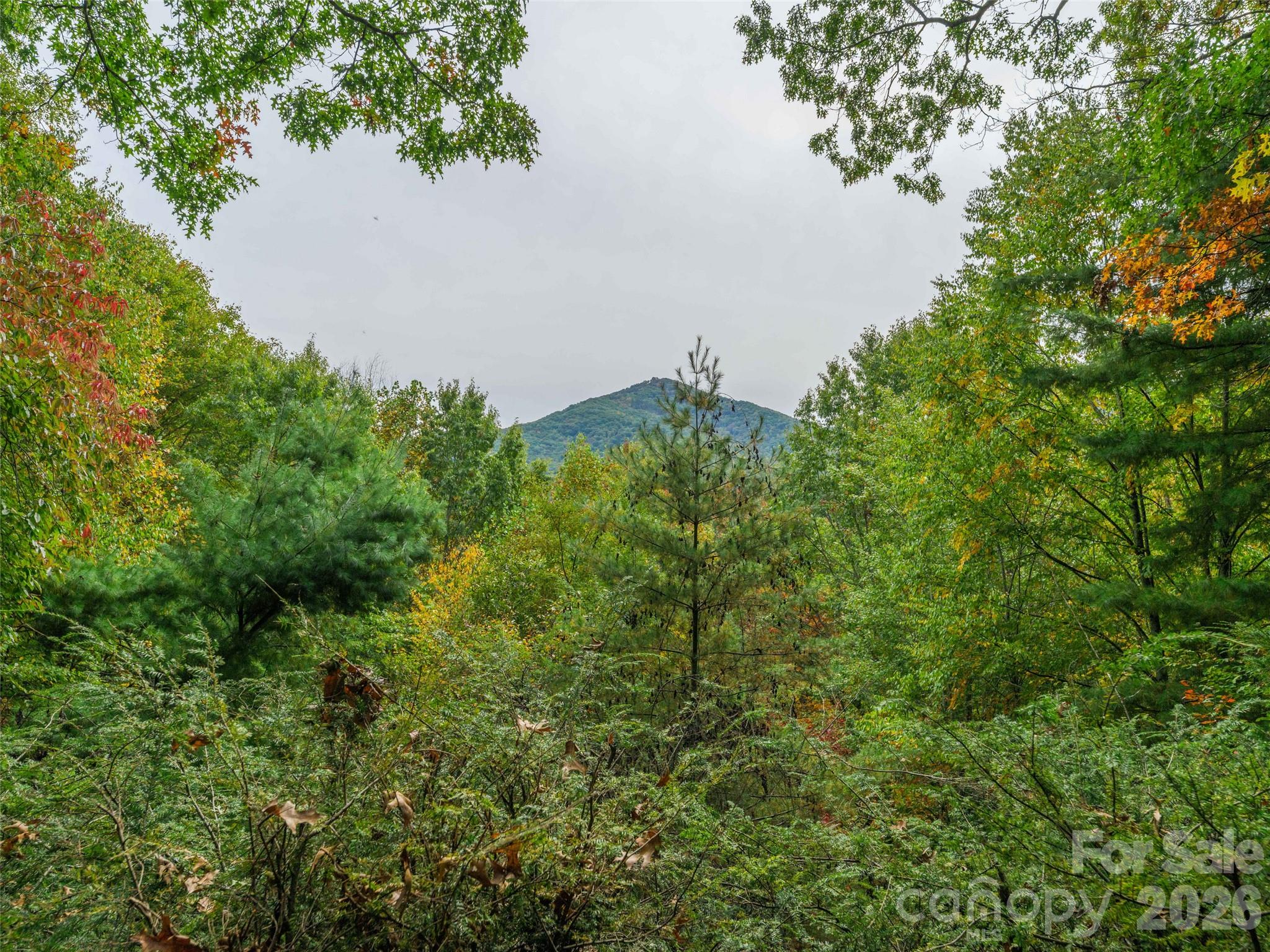 Single Family Residence at 250 Creekside Drive, Maggie Valley, photo 3 of 30