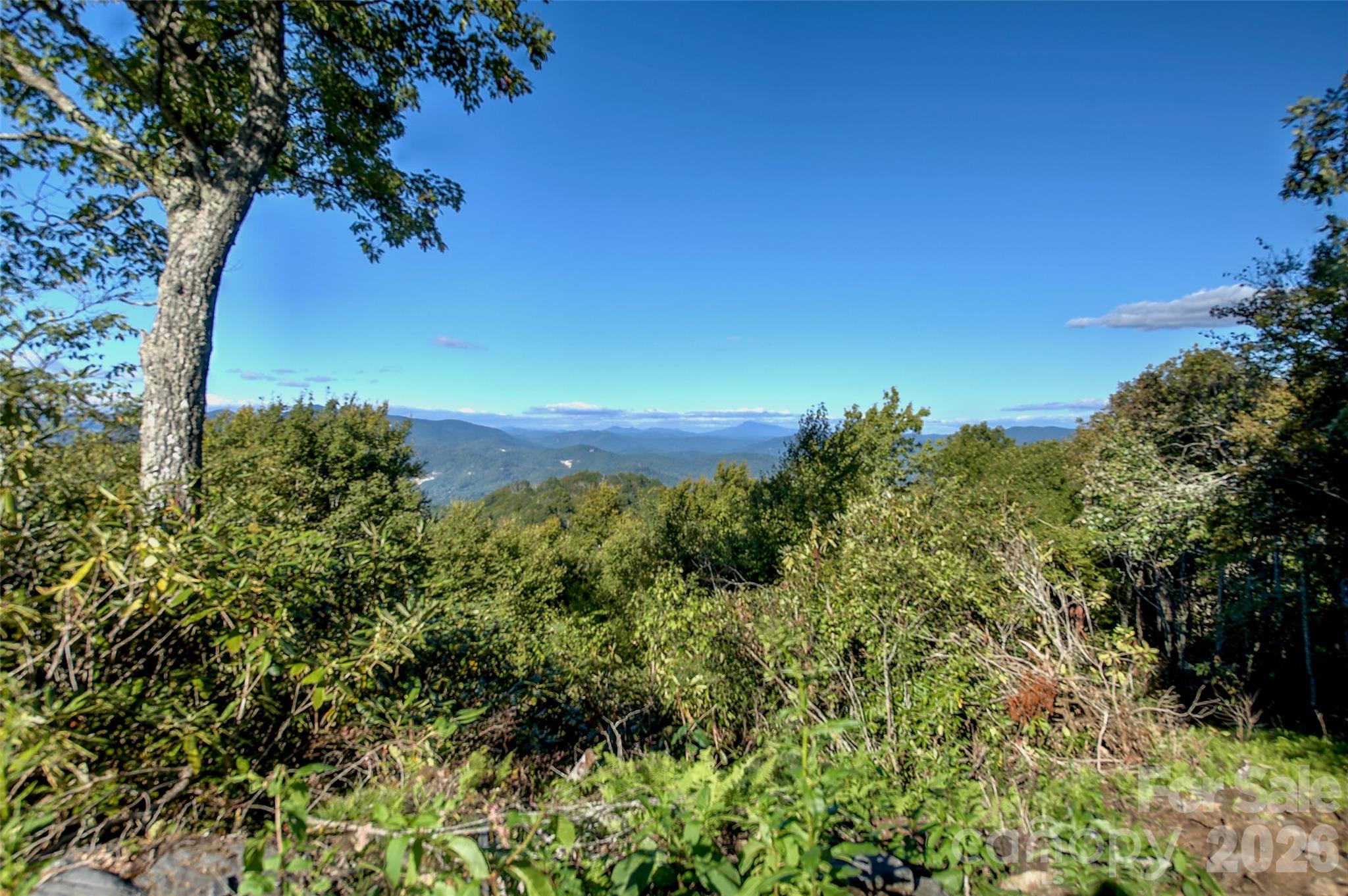 Acreage at 0000 Arrowhead Ridge Road, Spruce Pine, photo 23 of 50