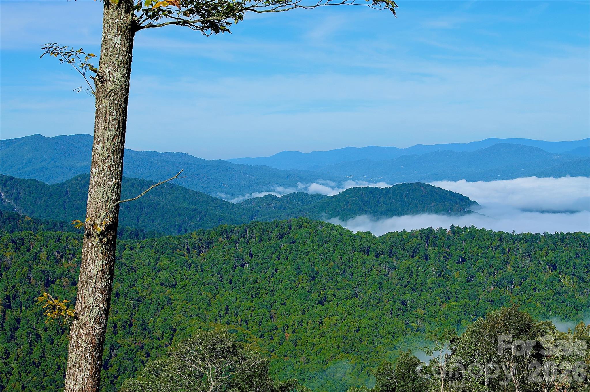 Acreage at 0000 Arrowhead Ridge Road, Spruce Pine, photo 32 of 50