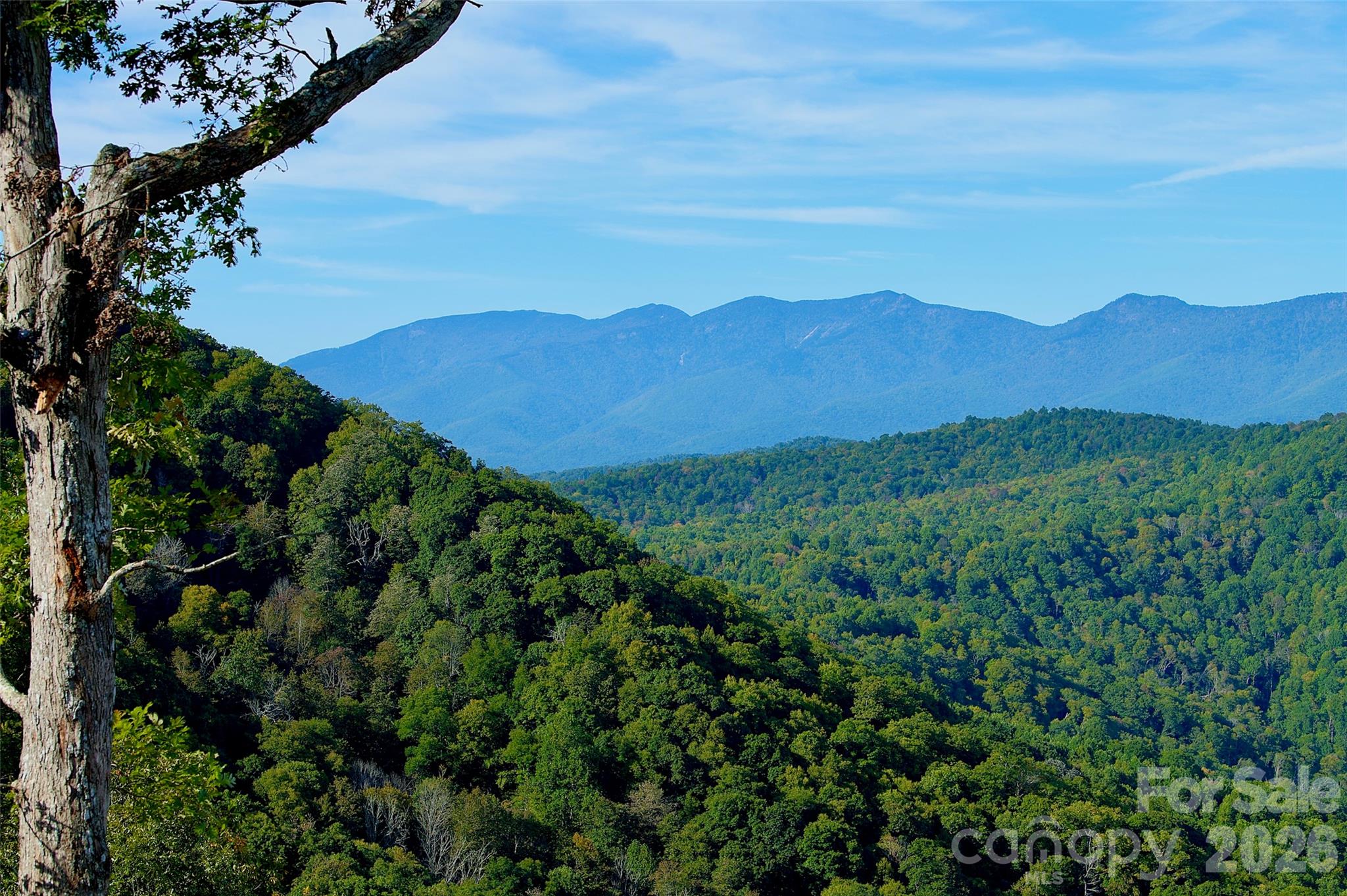 Acreage at 0000 Arrowhead Ridge Road, Spruce Pine, photo 33 of 50