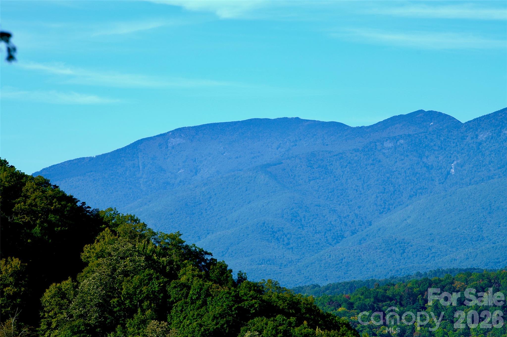 Acreage at 0000 Arrowhead Ridge Road, Spruce Pine, photo 34 of 50