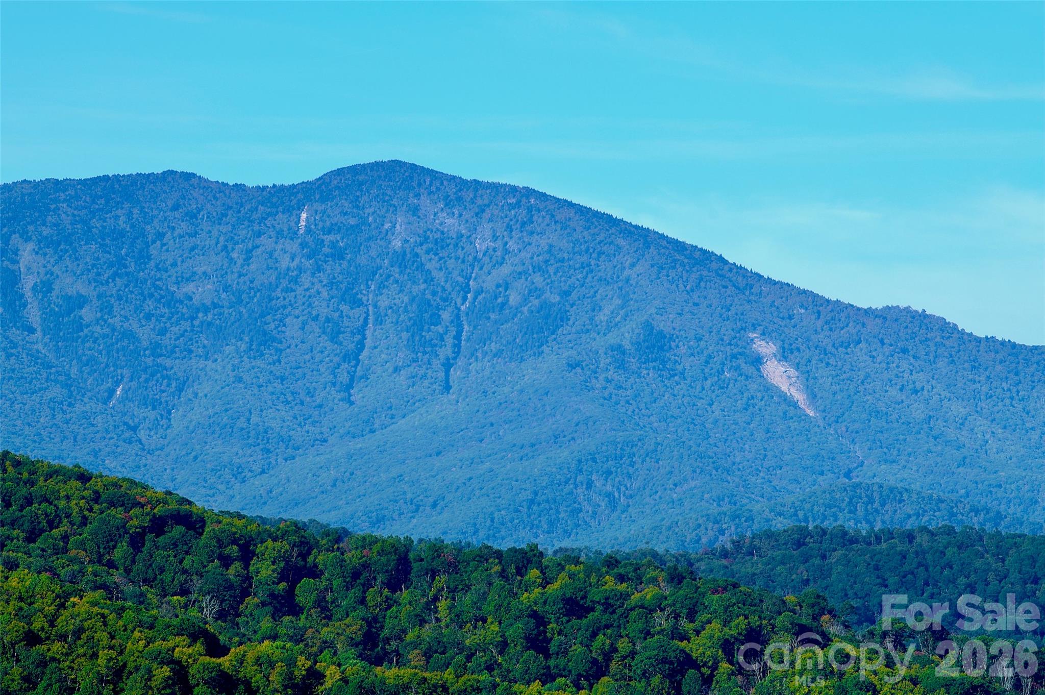 Acreage at 0000 Arrowhead Ridge Road, Spruce Pine, photo 35 of 50