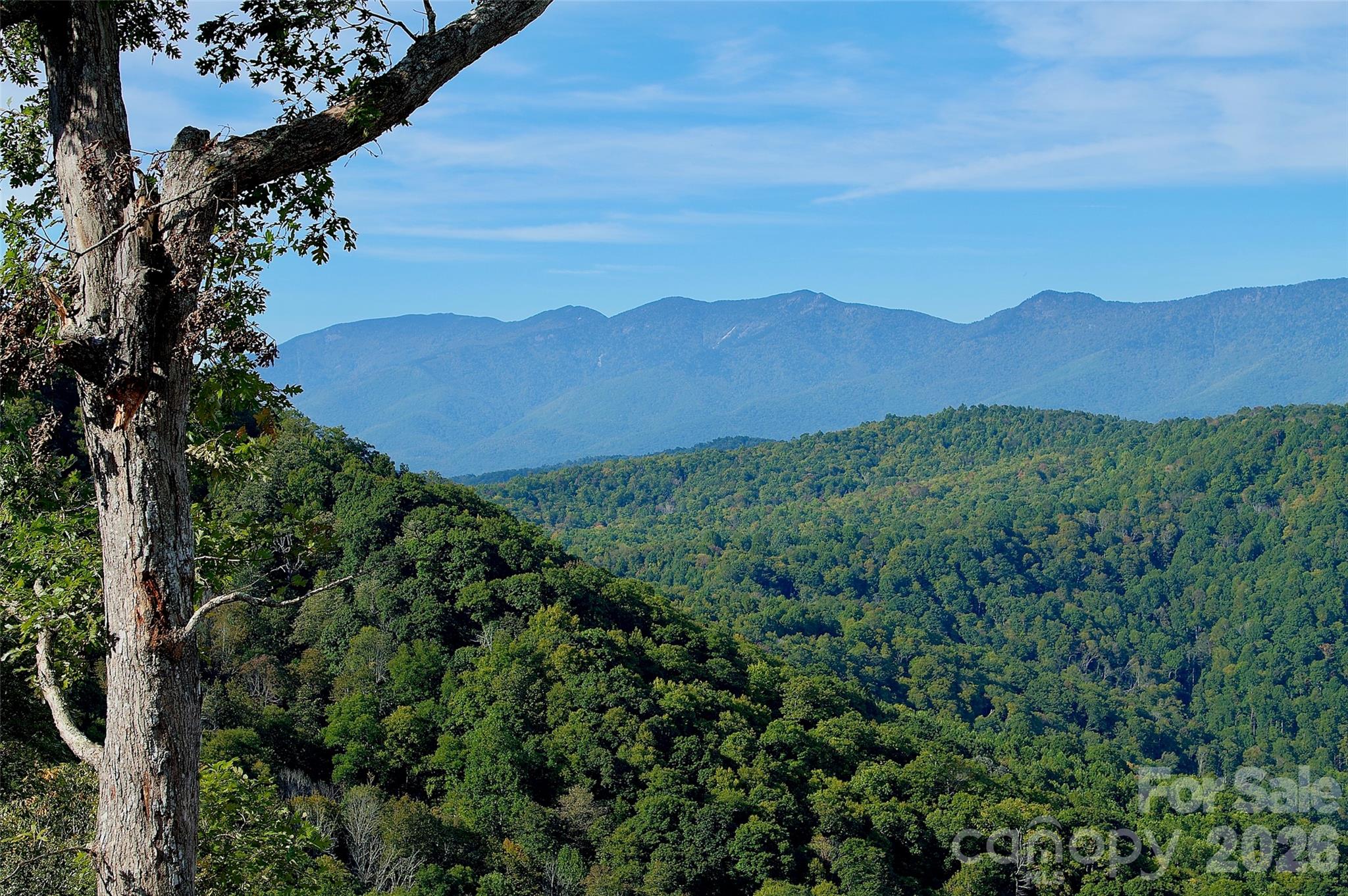 Acreage at 0000 Arrowhead Ridge Road, Spruce Pine, photo 38 of 50