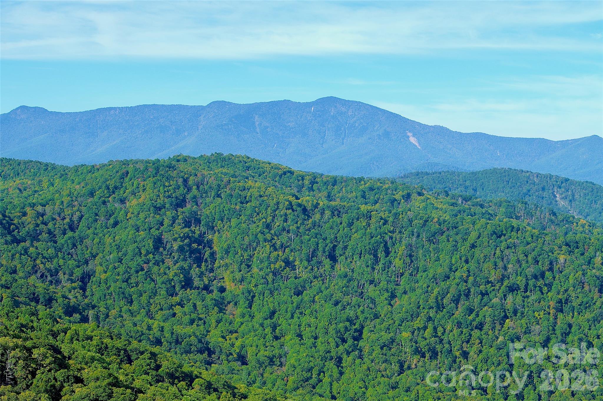 Acreage at 0000 Arrowhead Ridge Road, Spruce Pine, photo 39 of 50
