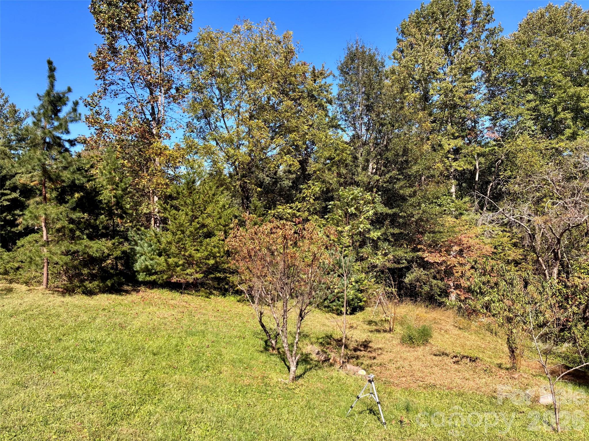 Backyard - 110 Poteat Drive, Morganton