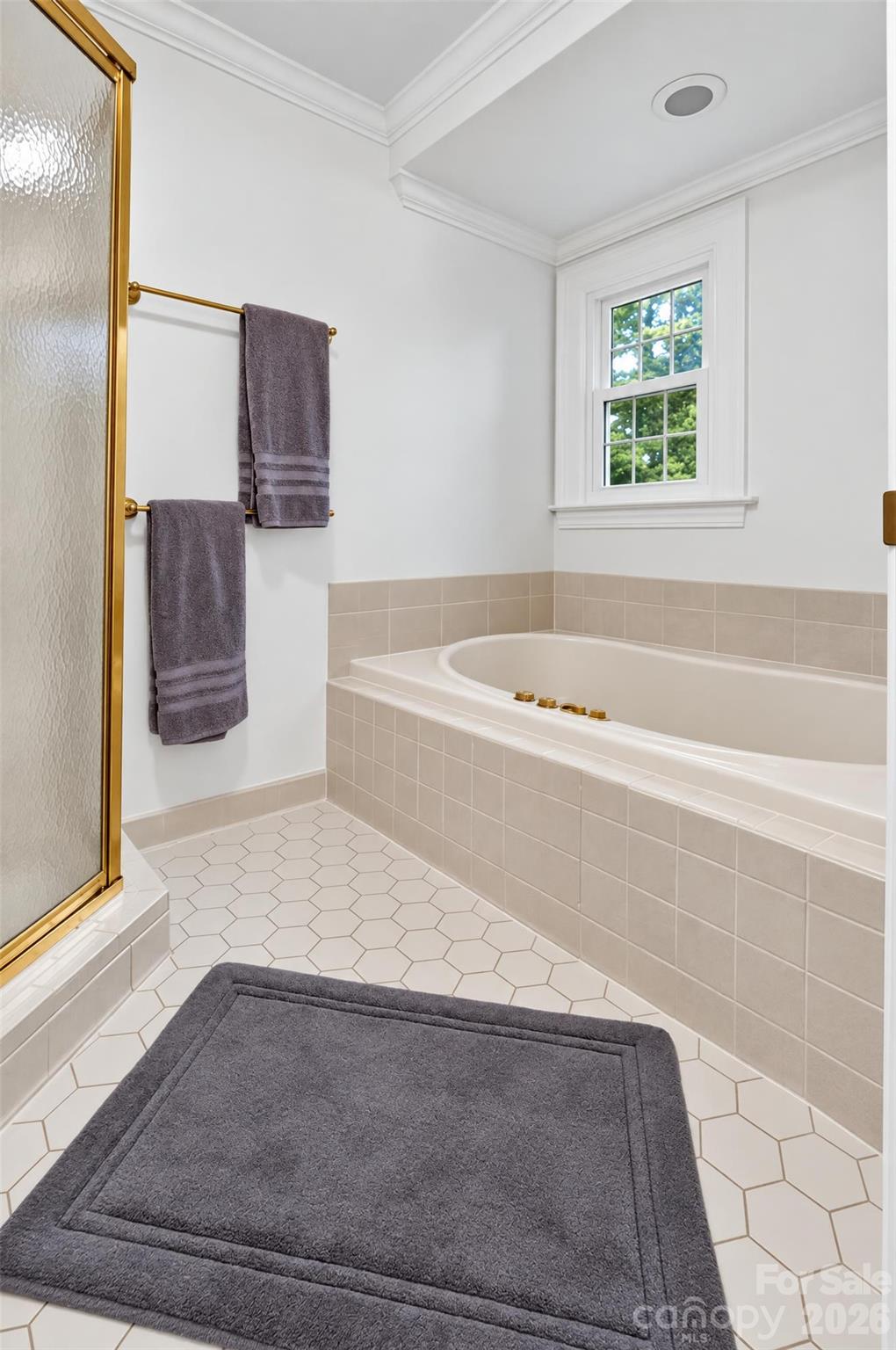 Primary Bath - 2715 Brevard Road, Hendersonville