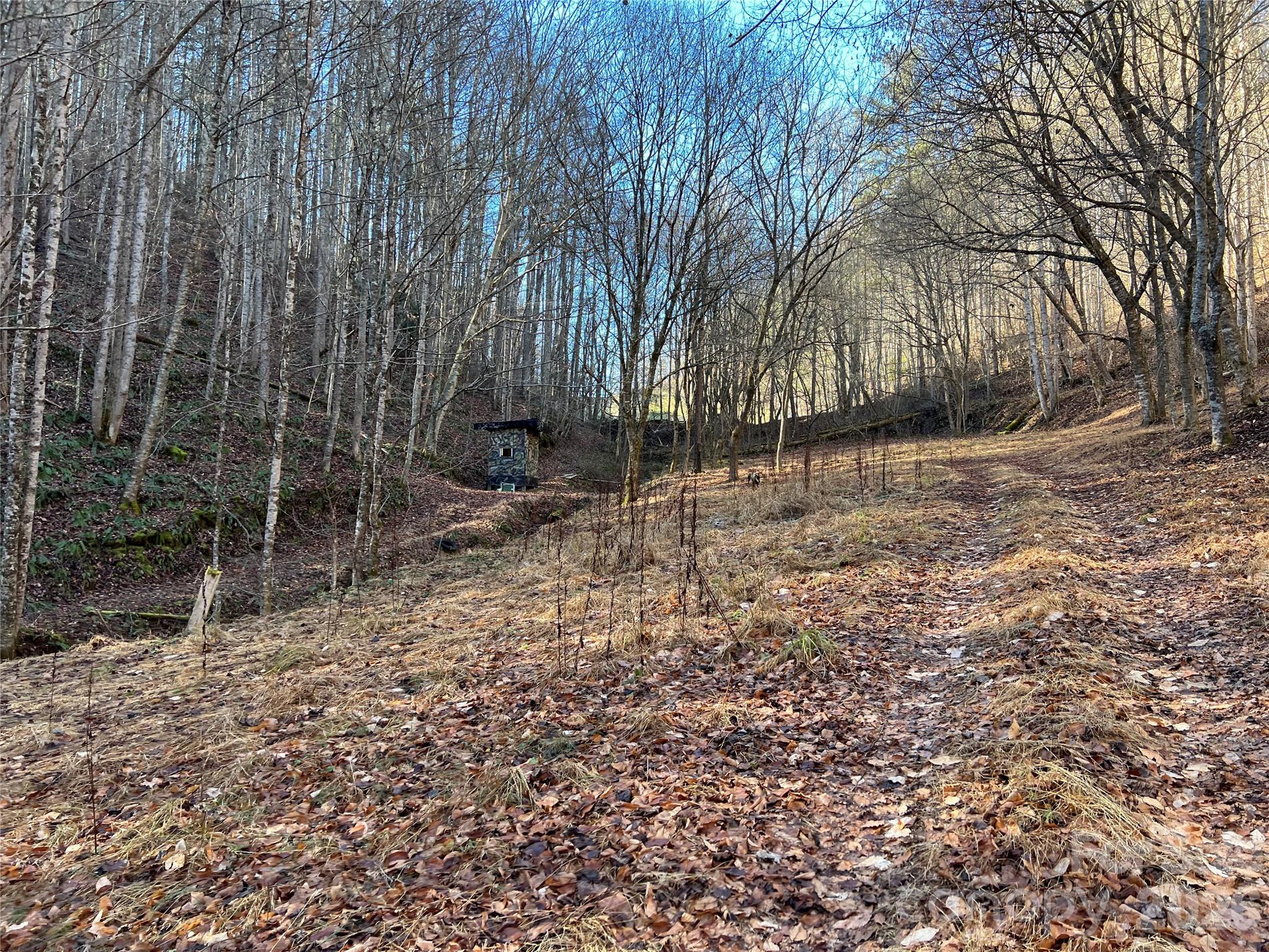 Great buildable spots on the 62 acres - 12982 US HWY 19W None, Burnsville