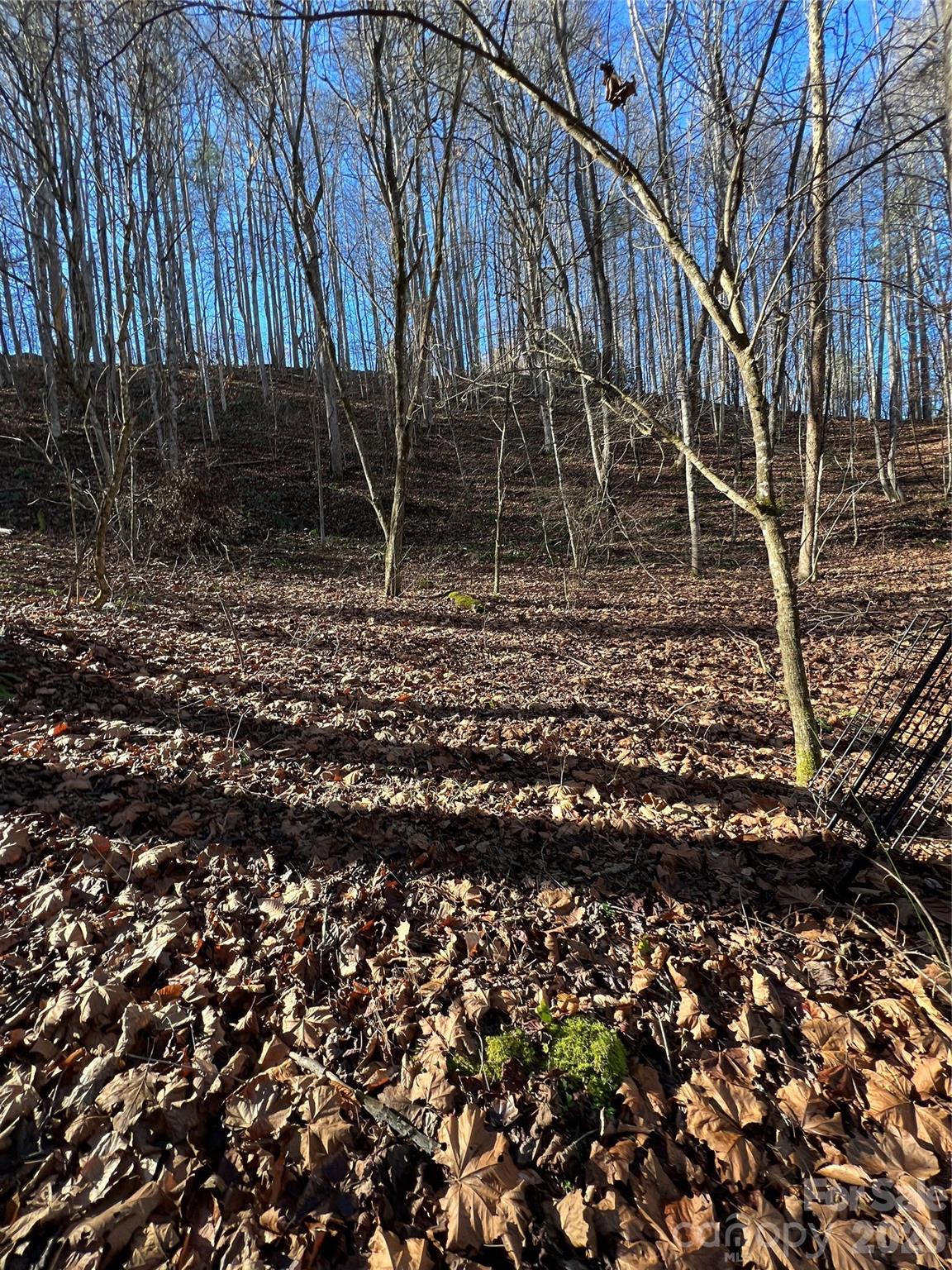 62 acres of Appalachian Mountains! - 12982 US HWY 19W None, Burnsville