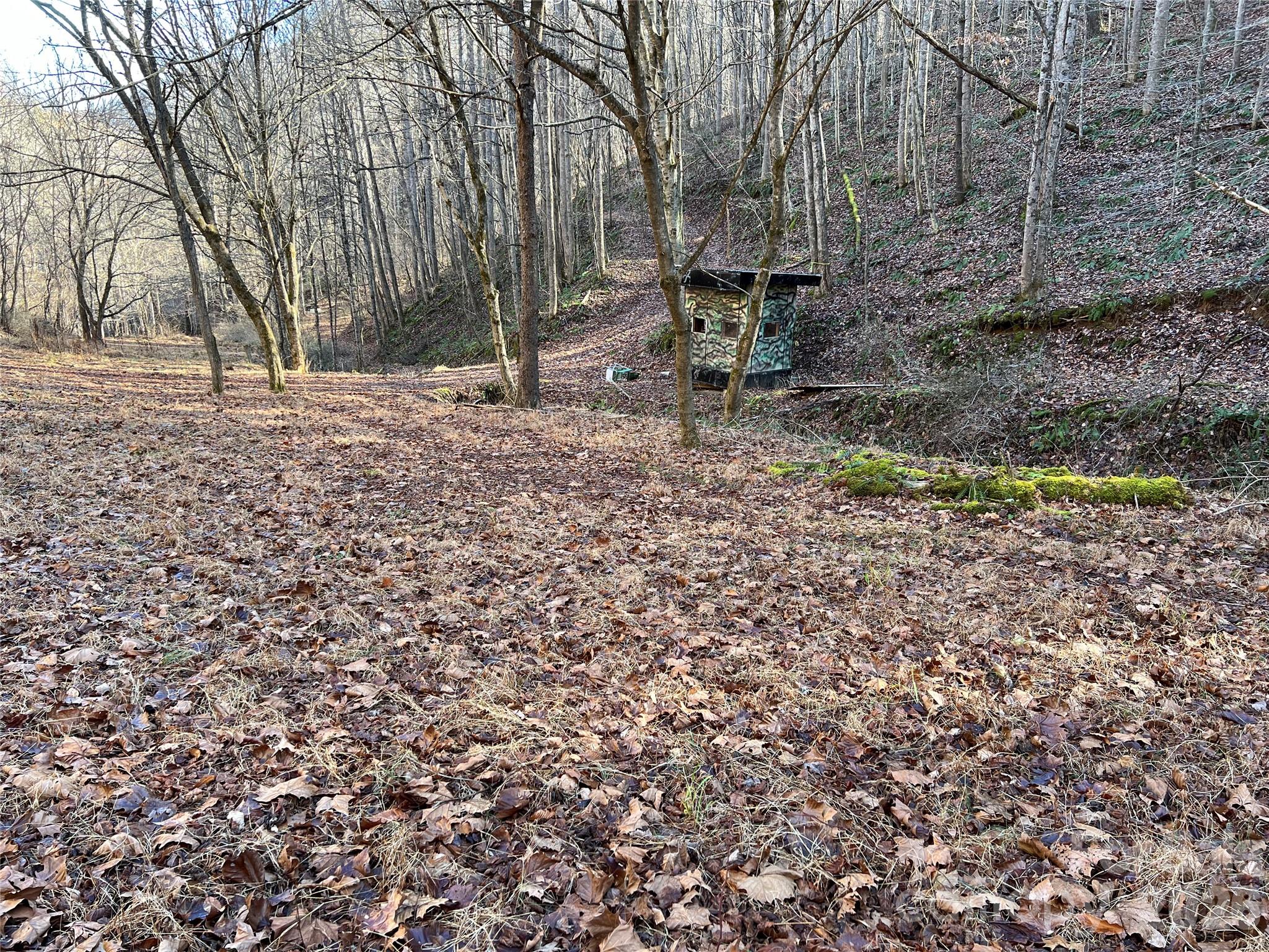 Camping or hunting shack - 12982 US HWY 19W None, Burnsville