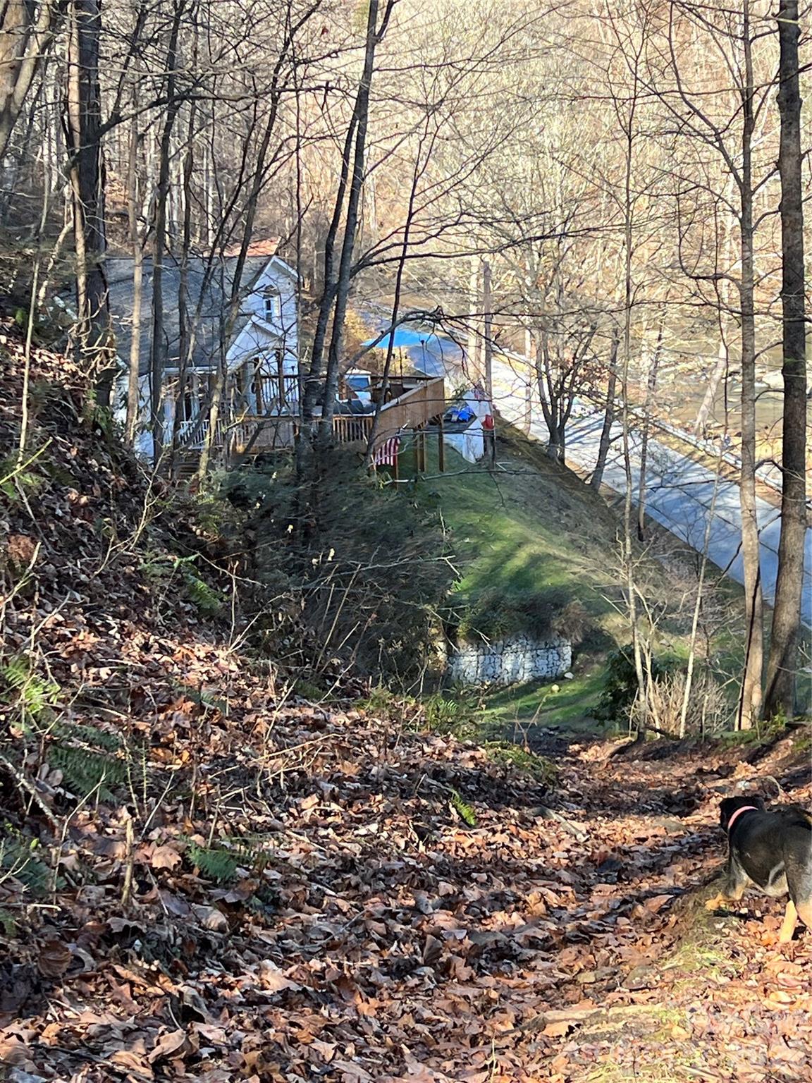 House coming down from land road. - 12982 US HWY 19W None, Burnsville
