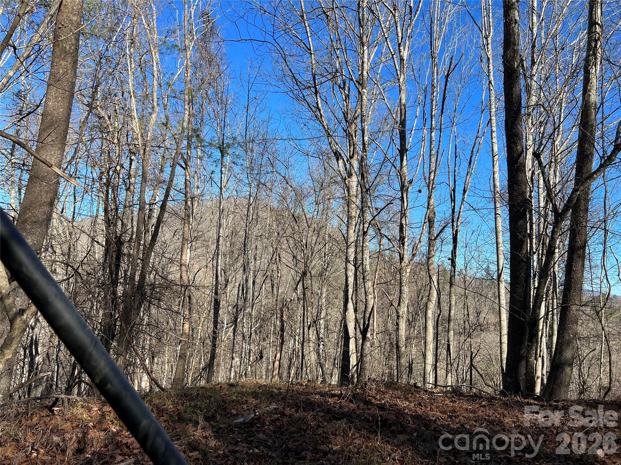 Possible year round with clearing of some trees thats allowed with Forestry. - 12982 US 19W Highway, Burnsville
