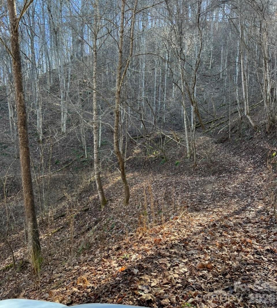 ATV or Hiking Trails - 12982 US 19W Highway, Burnsville