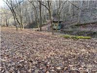 Acreage at 12982 US 19W Highway, Burnsville, photo 12 of 41