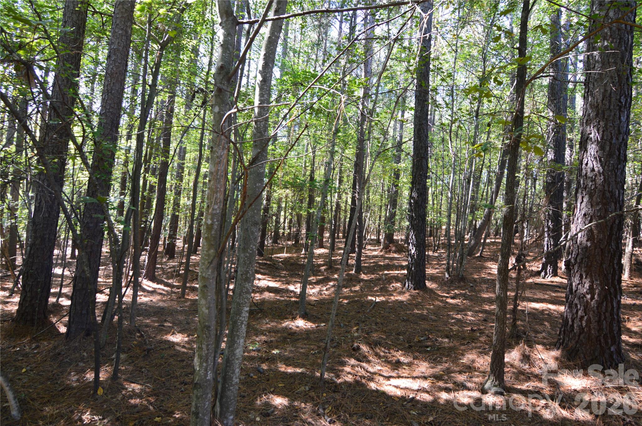 Lot at 4001 Deer Park Lane, Belmont, photo 5 of 48