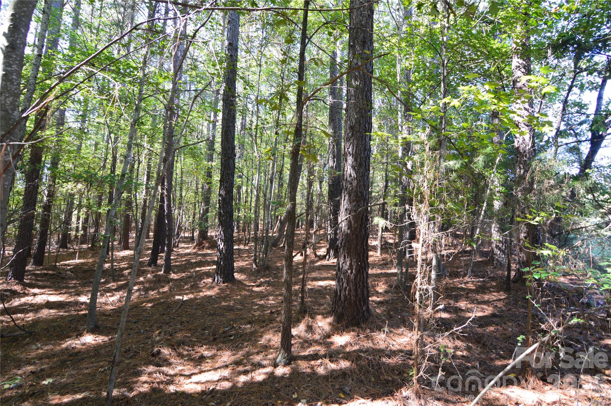 Lot at 4001 Deer Park Lane, Belmont, photo 6 of 48