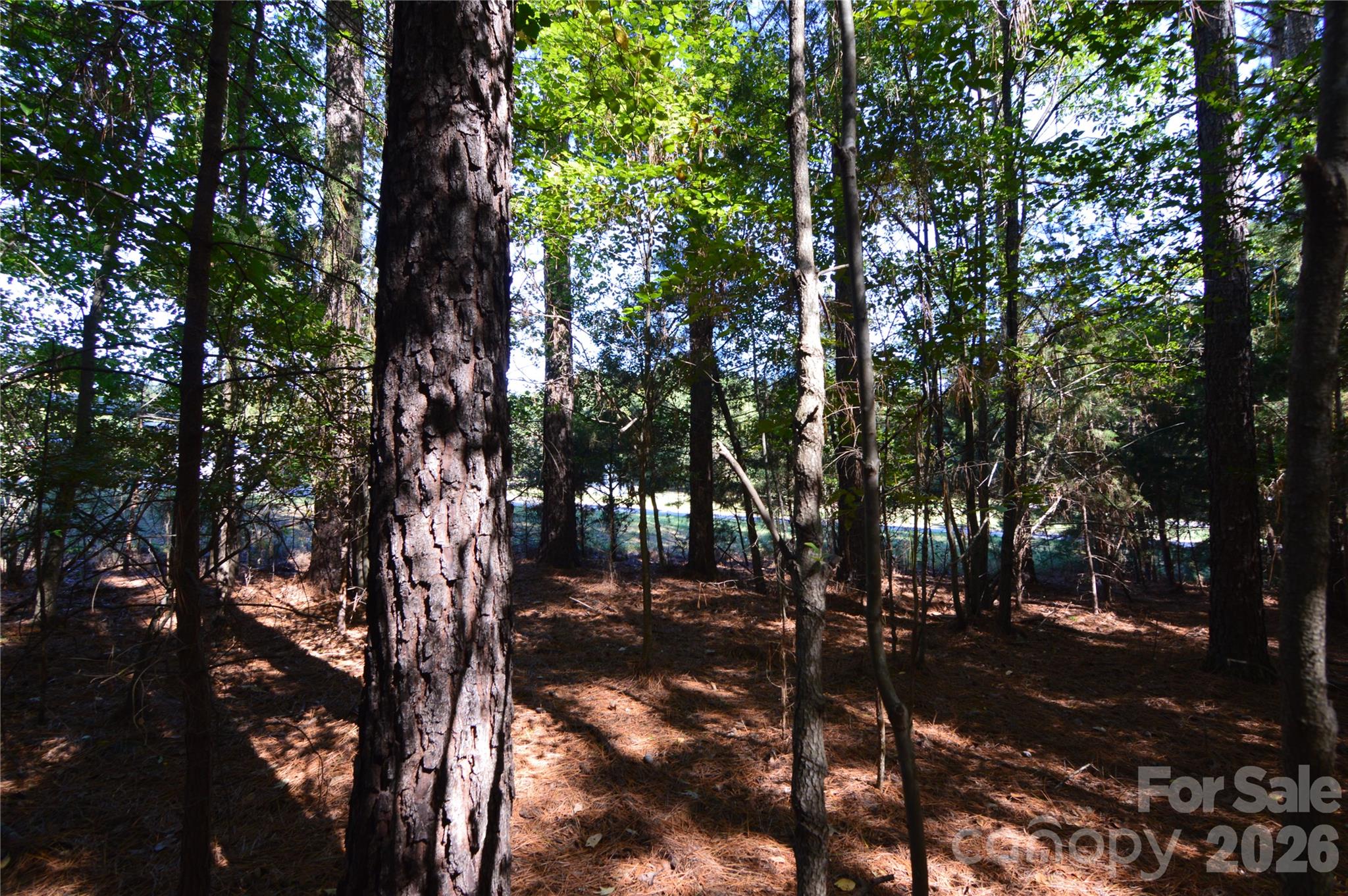 Lot at 4001 Deer Park Lane, Belmont, photo 7 of 48