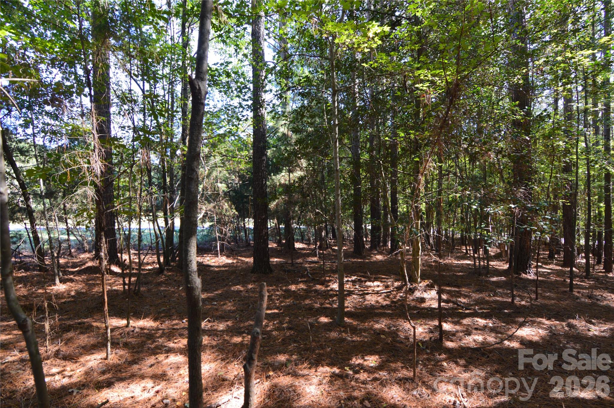 Lot at 4001 Deer Park Lane, Belmont, photo 8 of 48