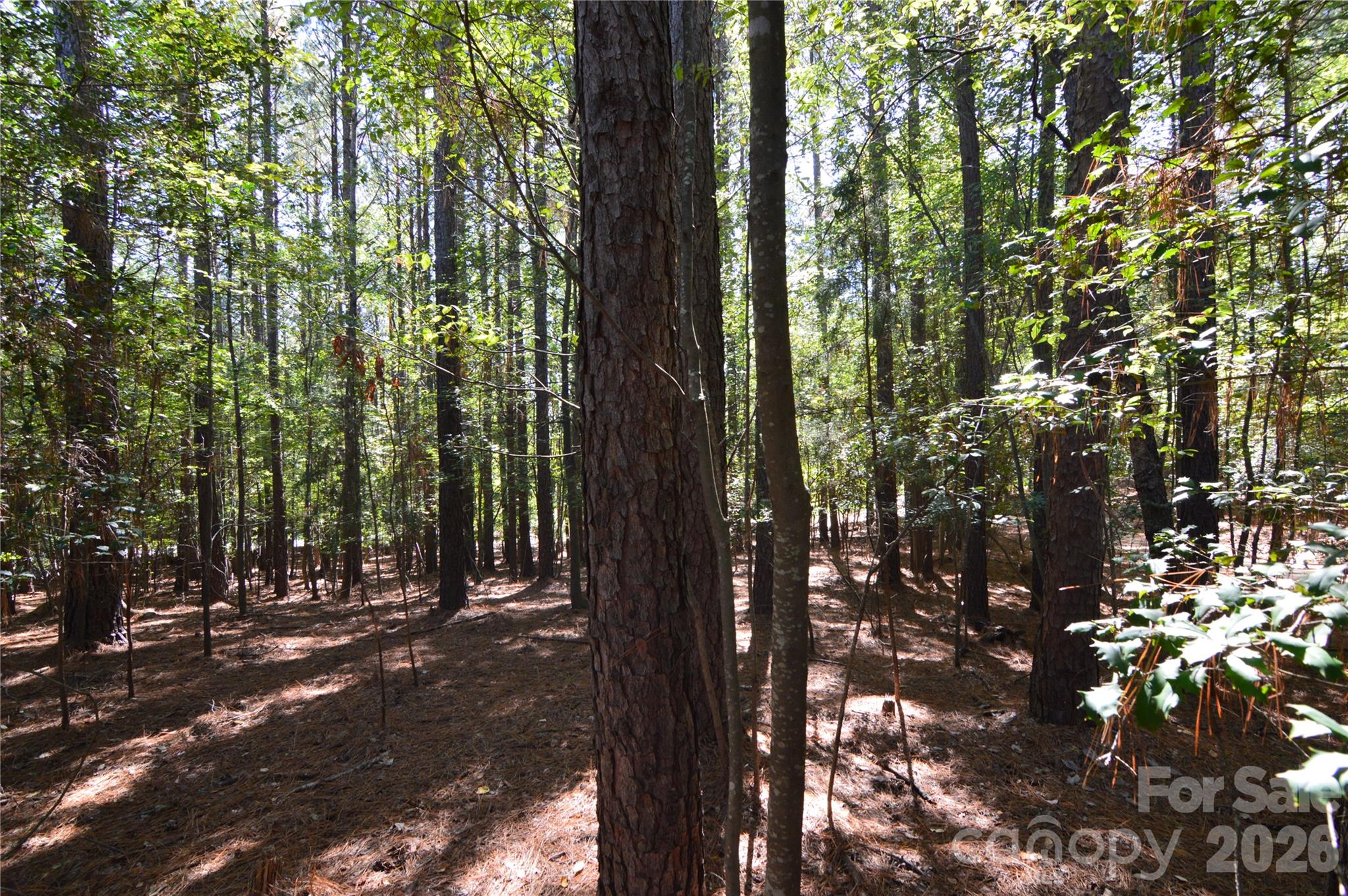 Lot at 4001 Deer Park Lane, Belmont, photo 9 of 48