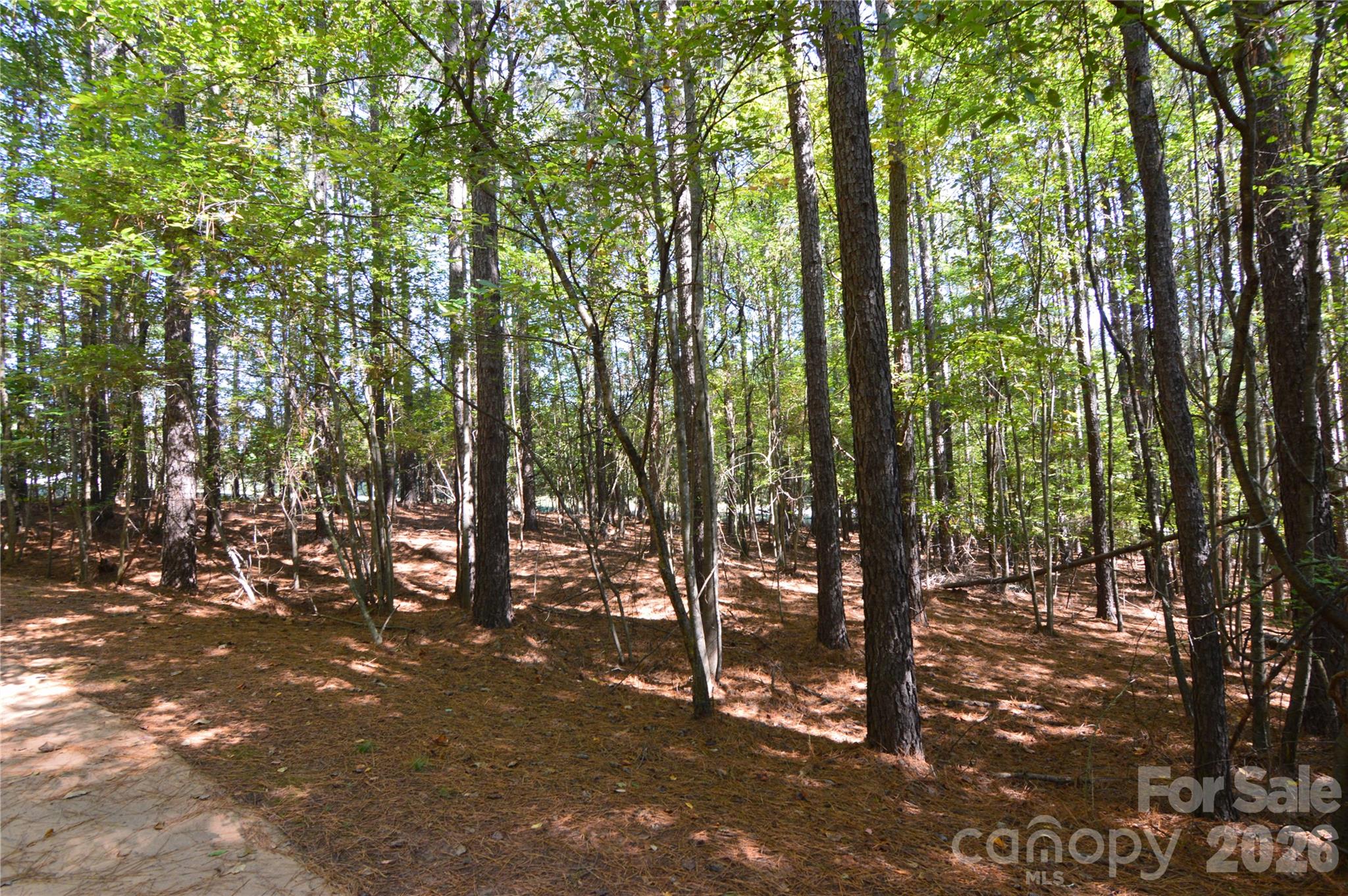 Lot at 4001 Deer Park Lane, Belmont, photo 10 of 48