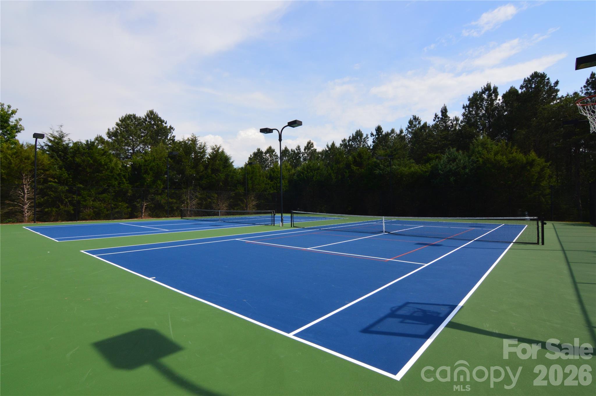 Two Lighted Tennis Courts with Pickleball lines - 4001 Deer Park Lane, Belmont