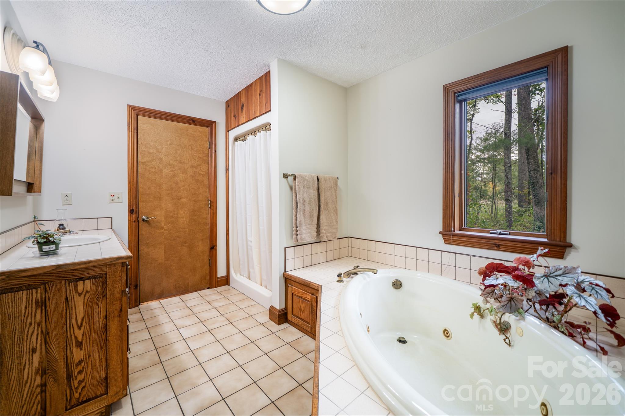 Single Family Residence at 2 Dogwood Lane, Fletcher, photo 25 of 36