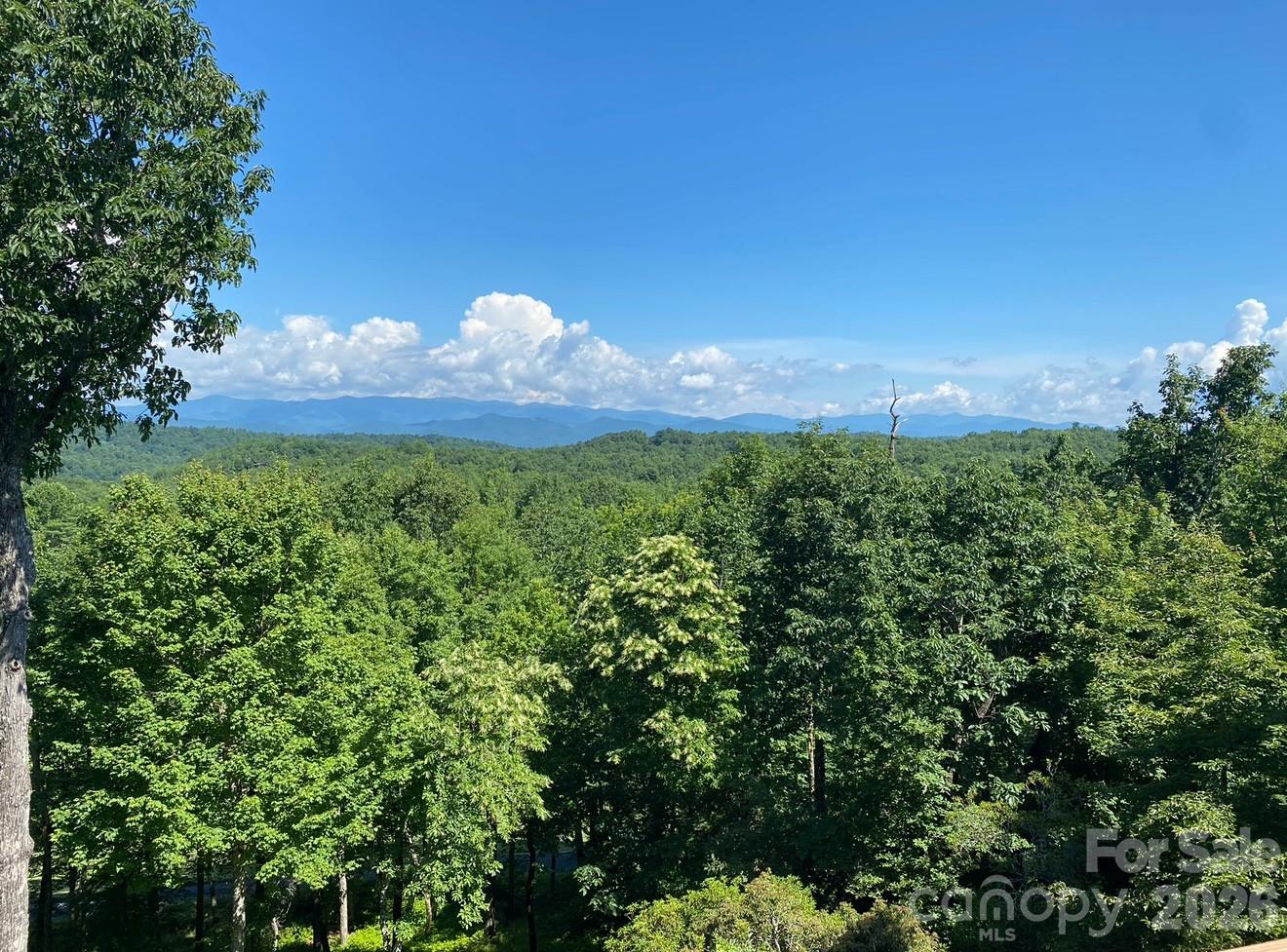 View from the back porch and windows - 157 Kawani Lane, Brevard