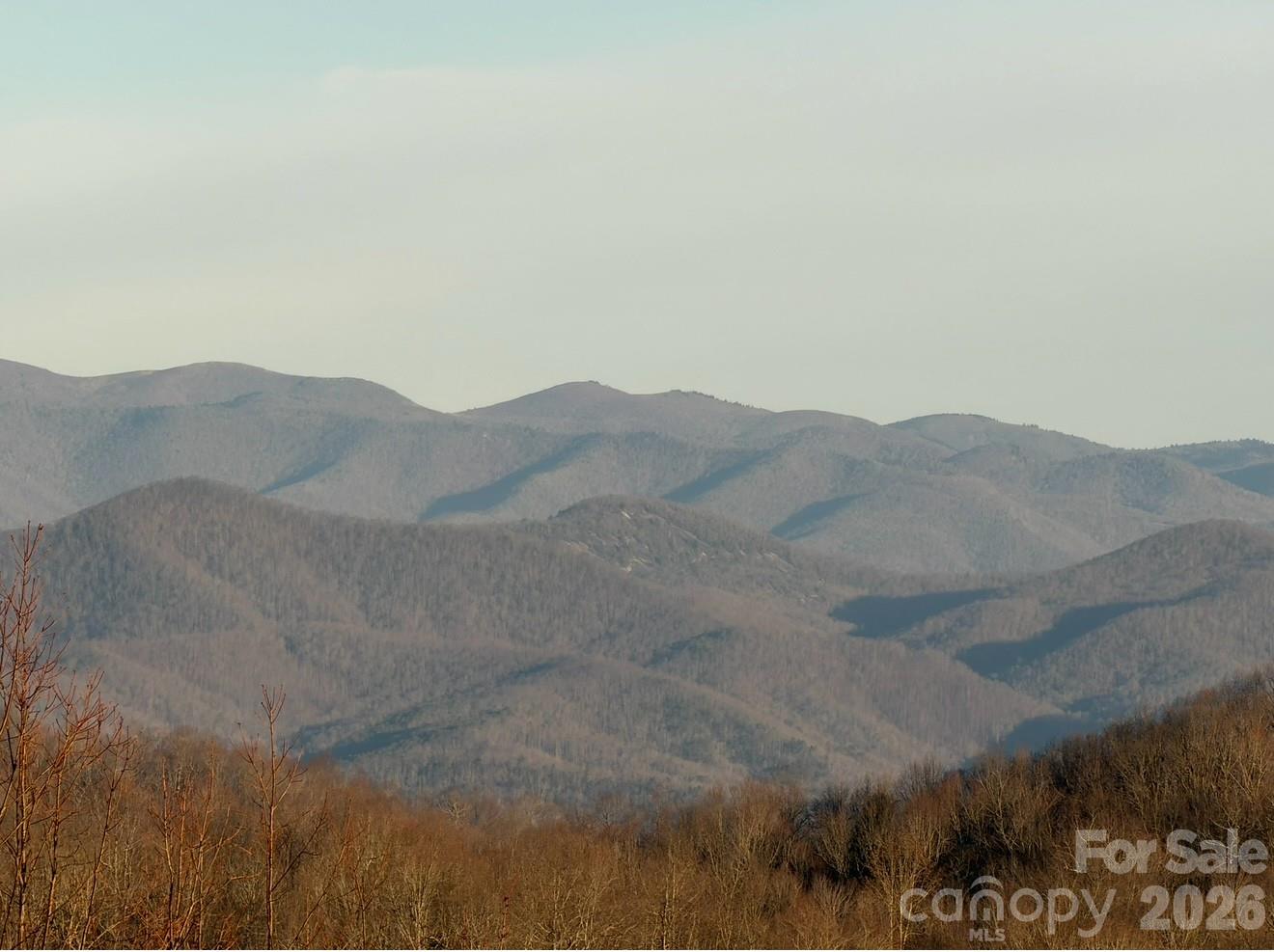 Blue Ridge Parkway - 157 Kawani Lane, Brevard