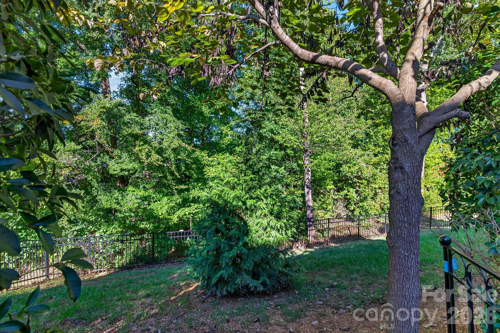 Single Family Residence at 4521 Grove Manor Street, Waxhaw, photo 46 of 47