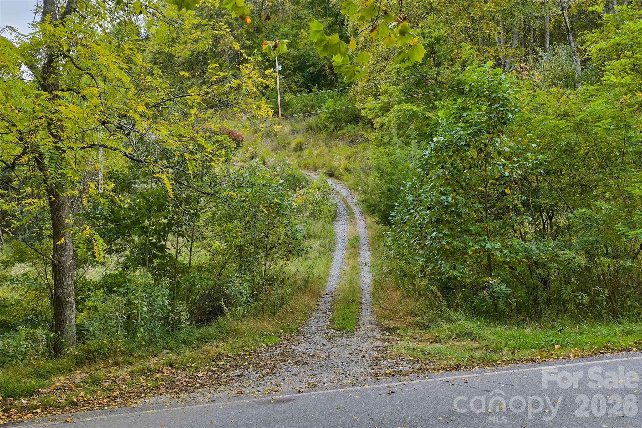 Entrance to Property - 348 Chandler Creek Road, Mars Hill